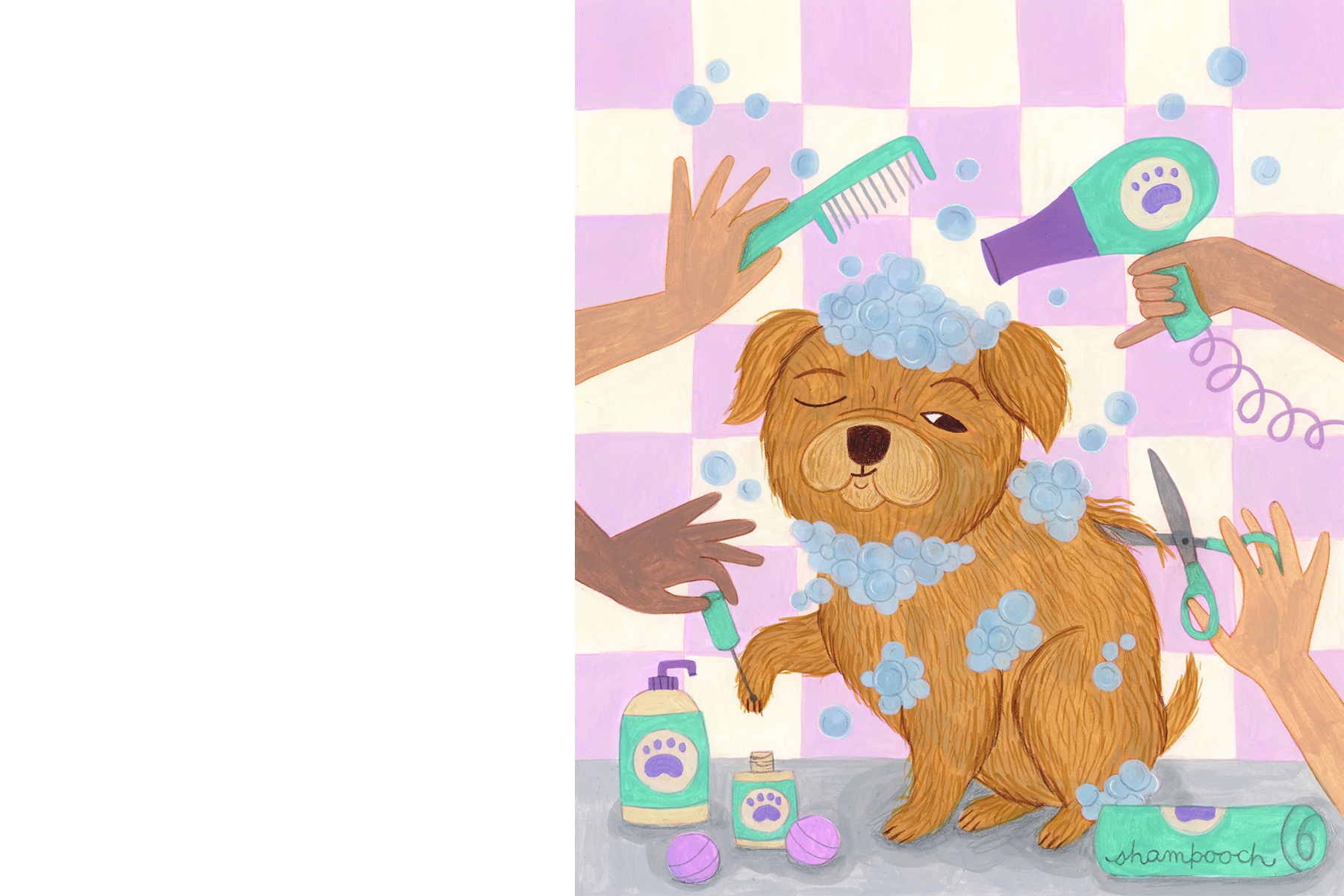 Shampooch_Spots_1.png