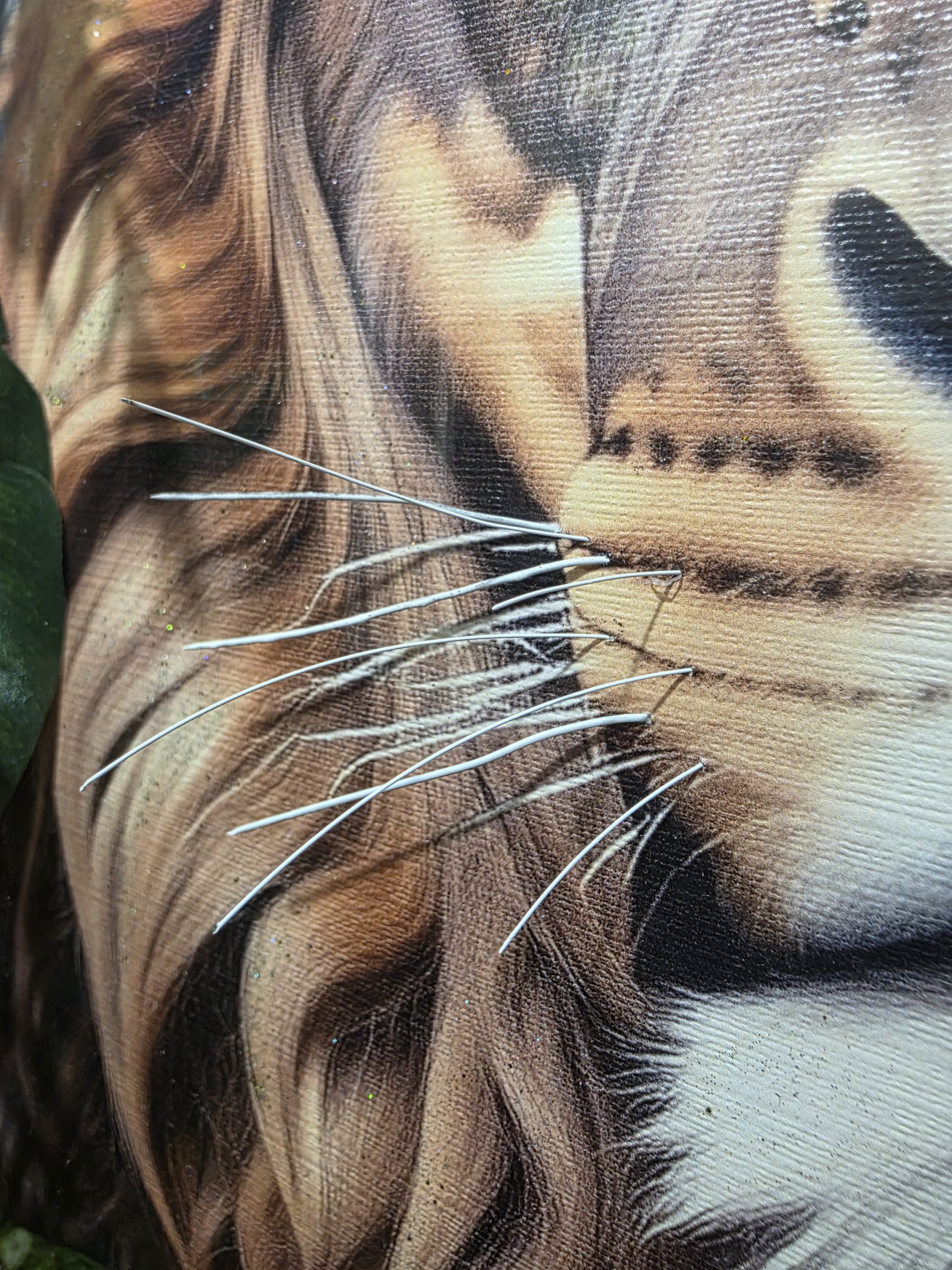 lion 1.jpg
