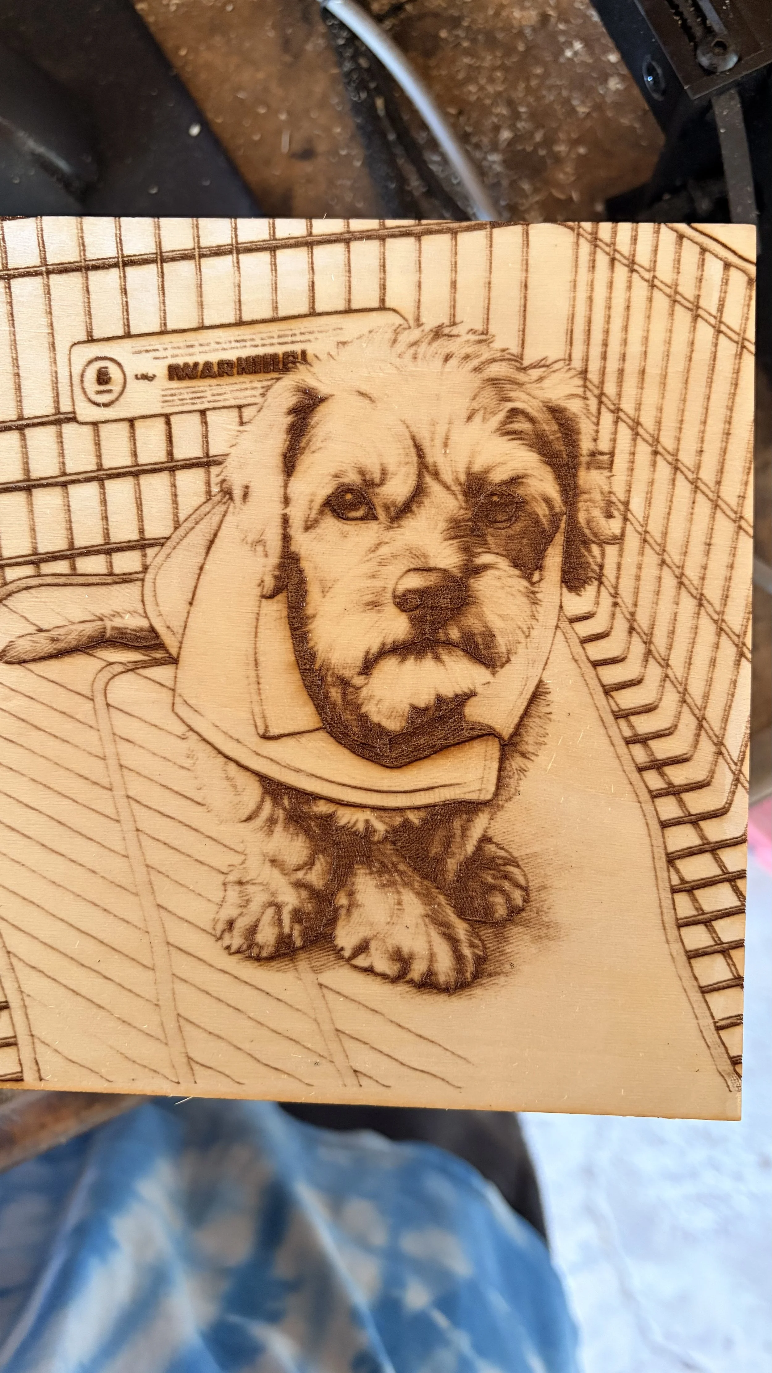Wooden engraving of a puppy sitting inside a wire cage, with a label that reads 'WARHILL' behind the dog.