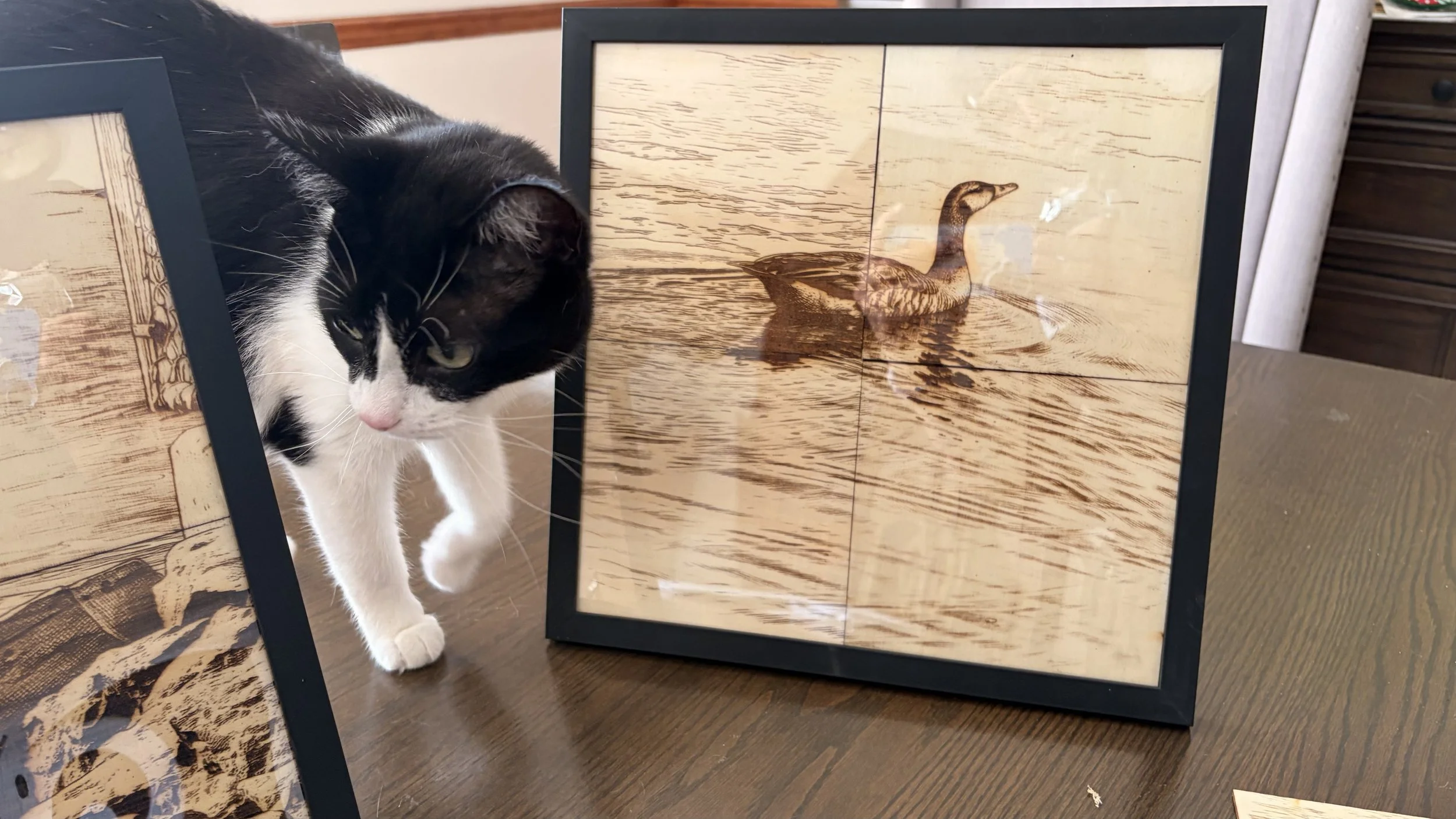 A black and white cat walking past a framed picture of a duck on a wooden surface. The cat has a pink nose and is partially obscuring the picture.