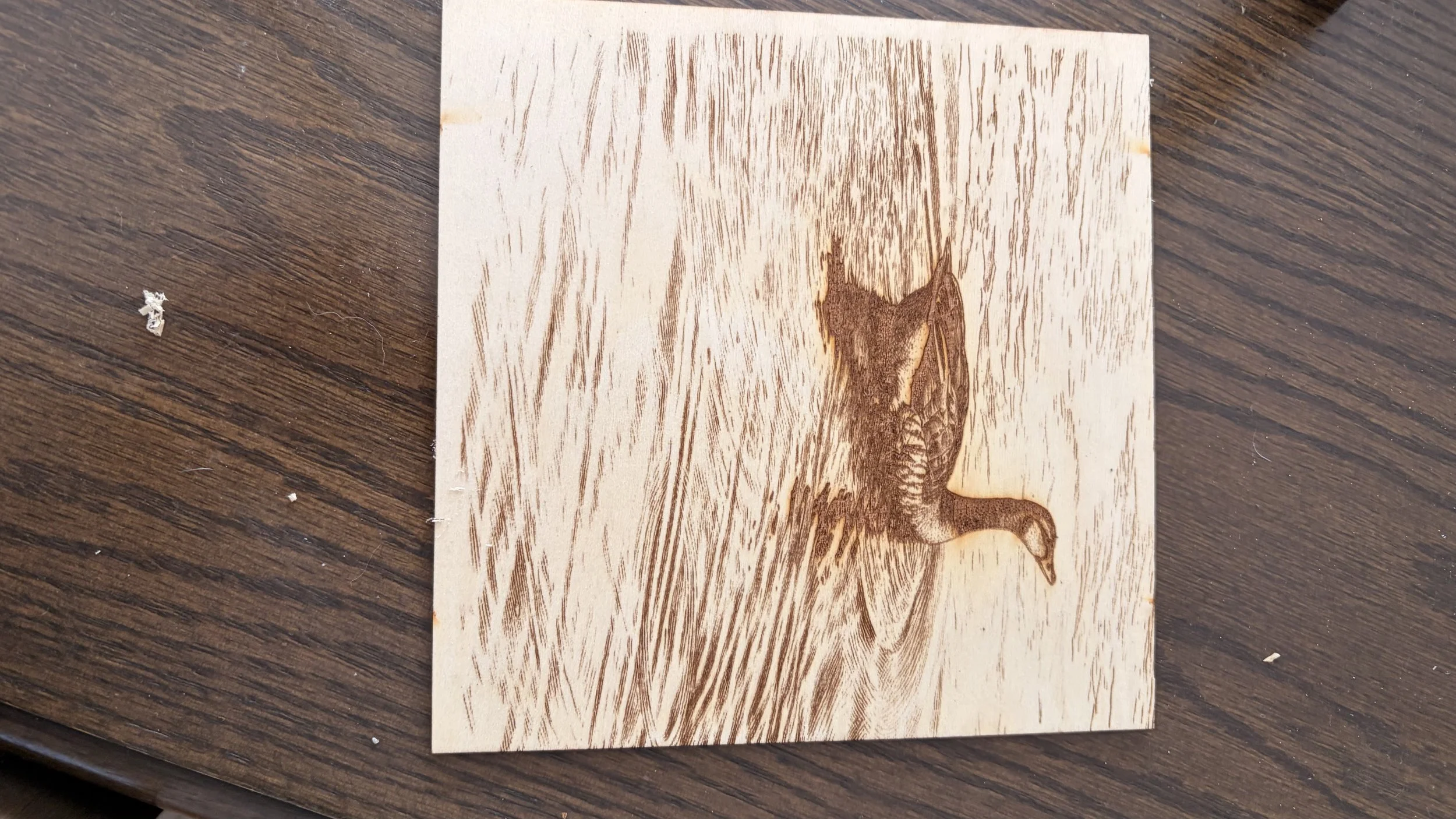 A wooden piece with a laser engraving of a lion standing on its hind legs with one paw raised.