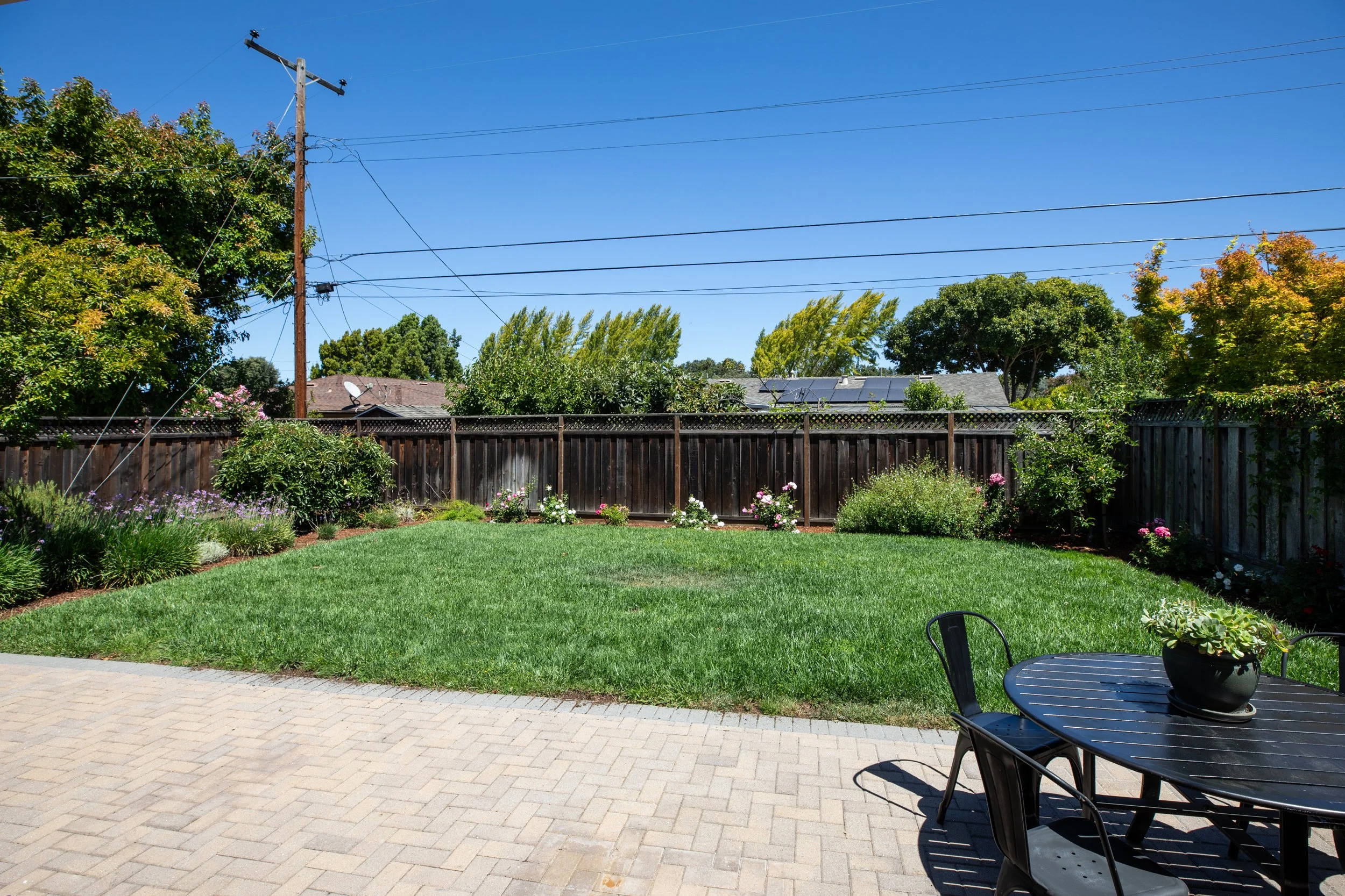16-Orange_Matt_Anello-2188-MLS.jpg