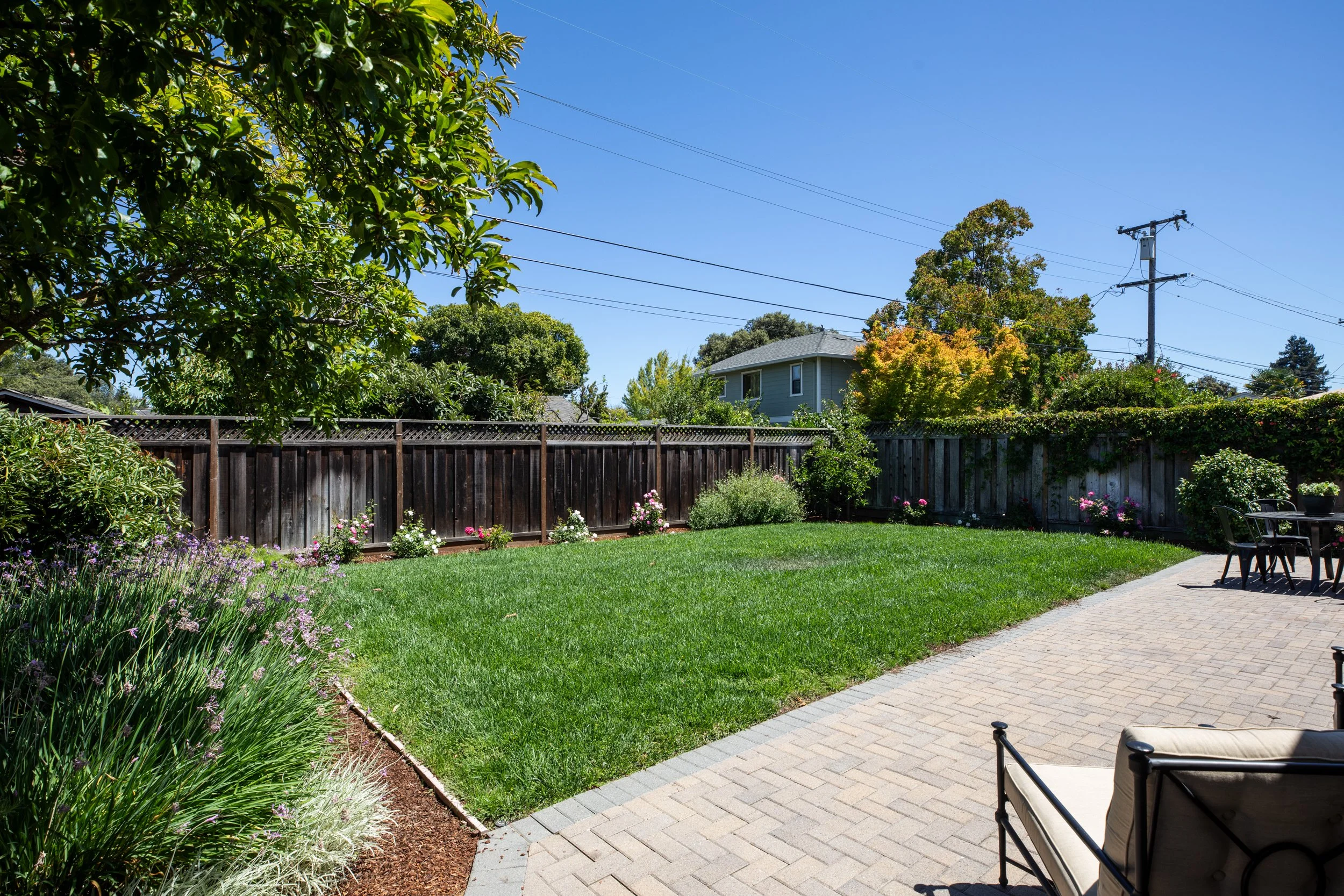 18-Orange_Matt_Anello-2190-MLS.jpg