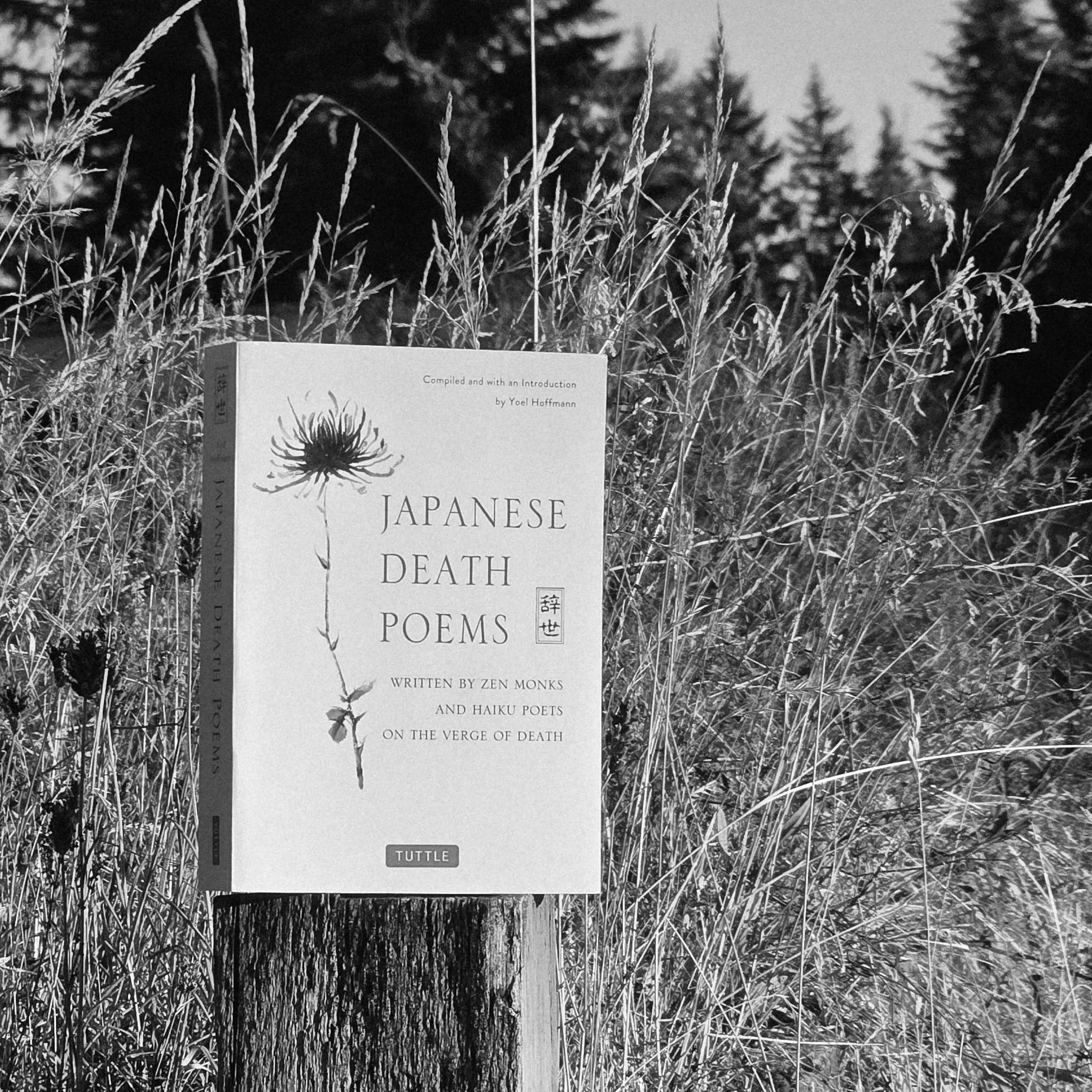 Japanese Death Poems