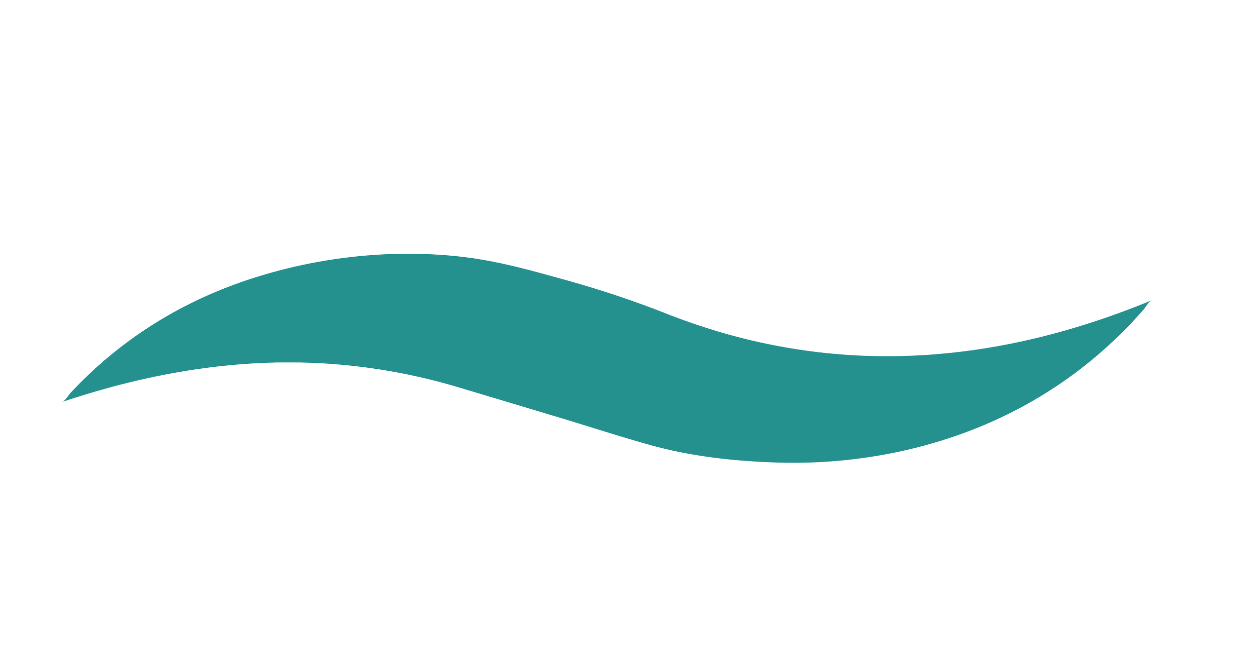 A stylized logo with a wavy teal shape.