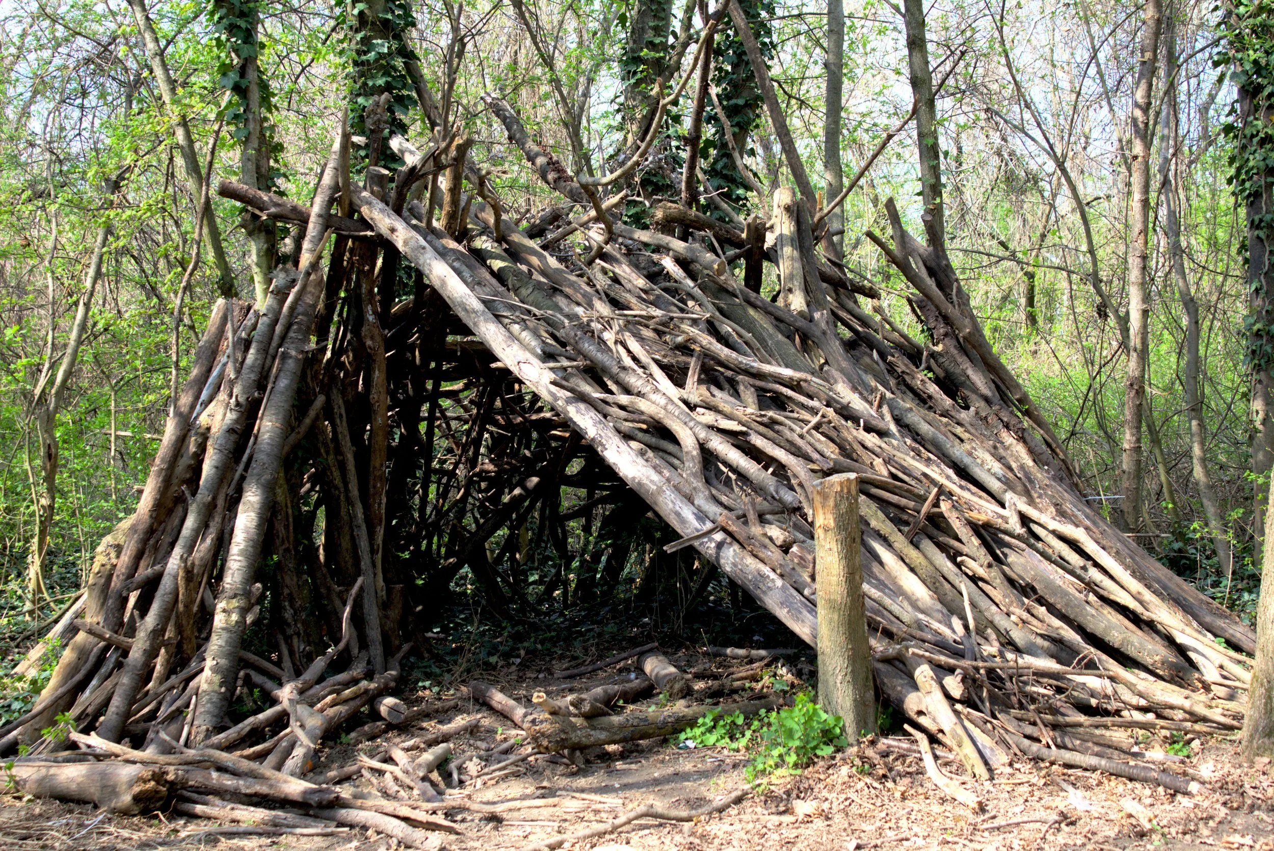 Bushcraft At the Brewery: Shelters 101