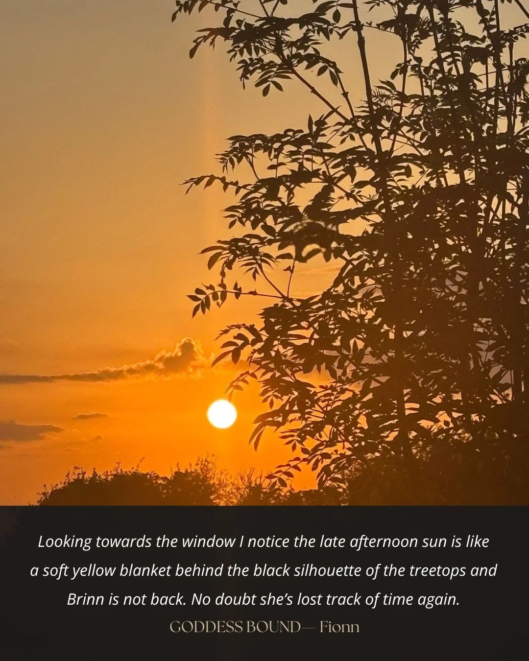 Meet Fionn. Patient, Observant, and Protective ☀️
https://www.buythebook.ie/product-category/fiction/
#GoddessBound #IrishFantasy #BookExcerpt #indieauthors #bookstagram