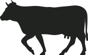 Bright Meadows Farm cow icon