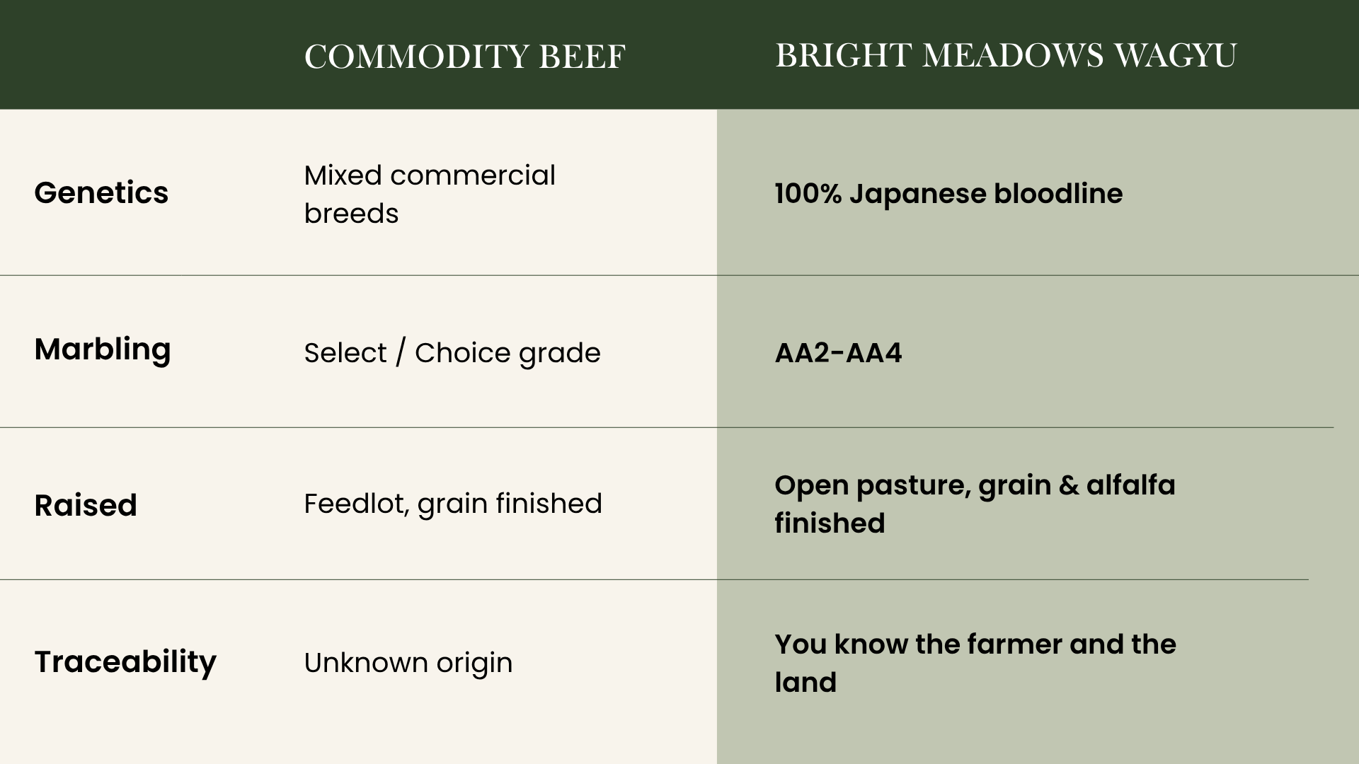 Comparison chart of beef types with categories such as Genetics, Marbling, Raised, and Traceability. Features information about commodity beef and Bright Meadows Wagyu, including breeding, marbling grades, feeding practices, and origin.