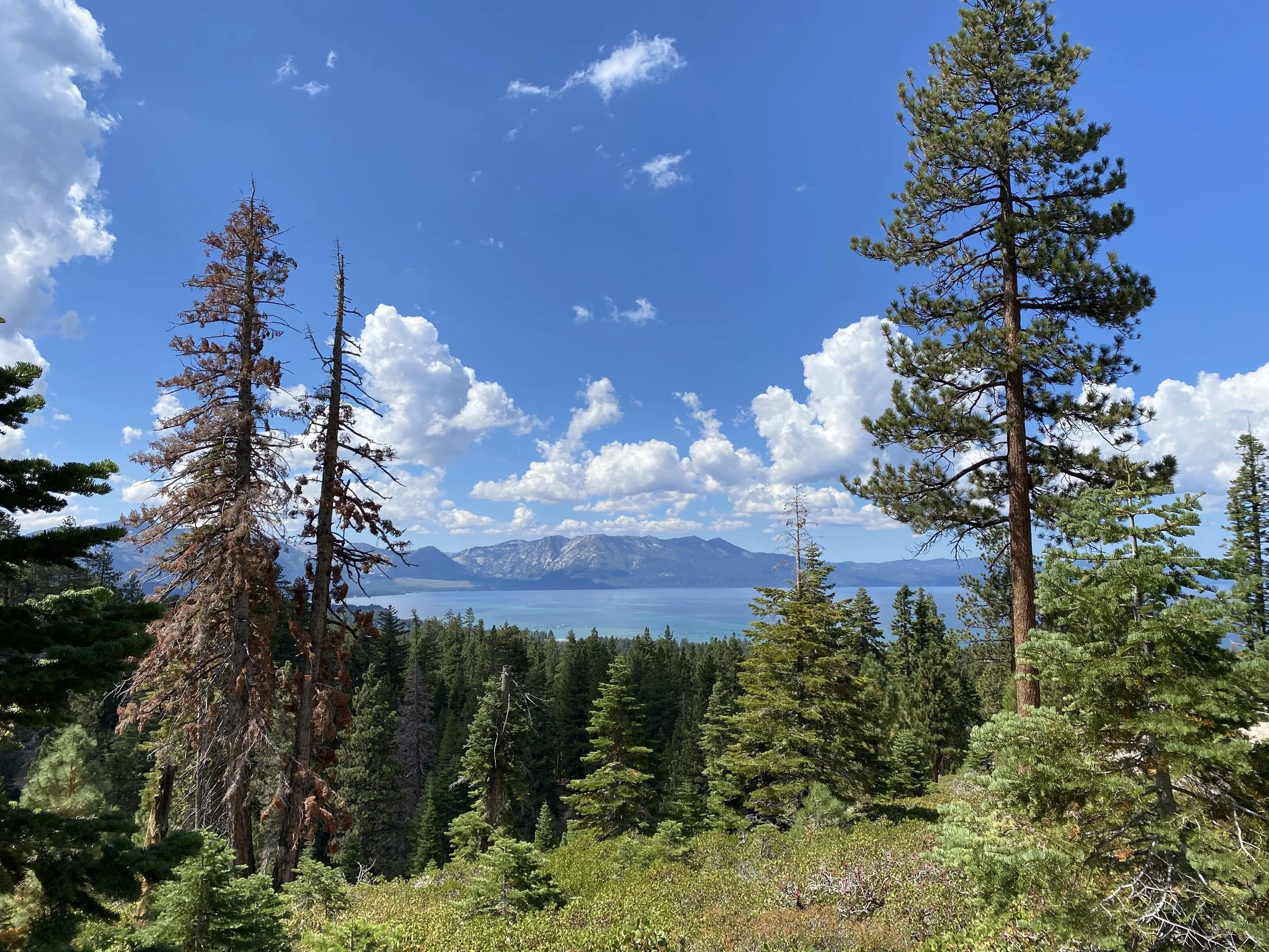 A Hike? or Therapy? You Tell Me: On Being a Beginner