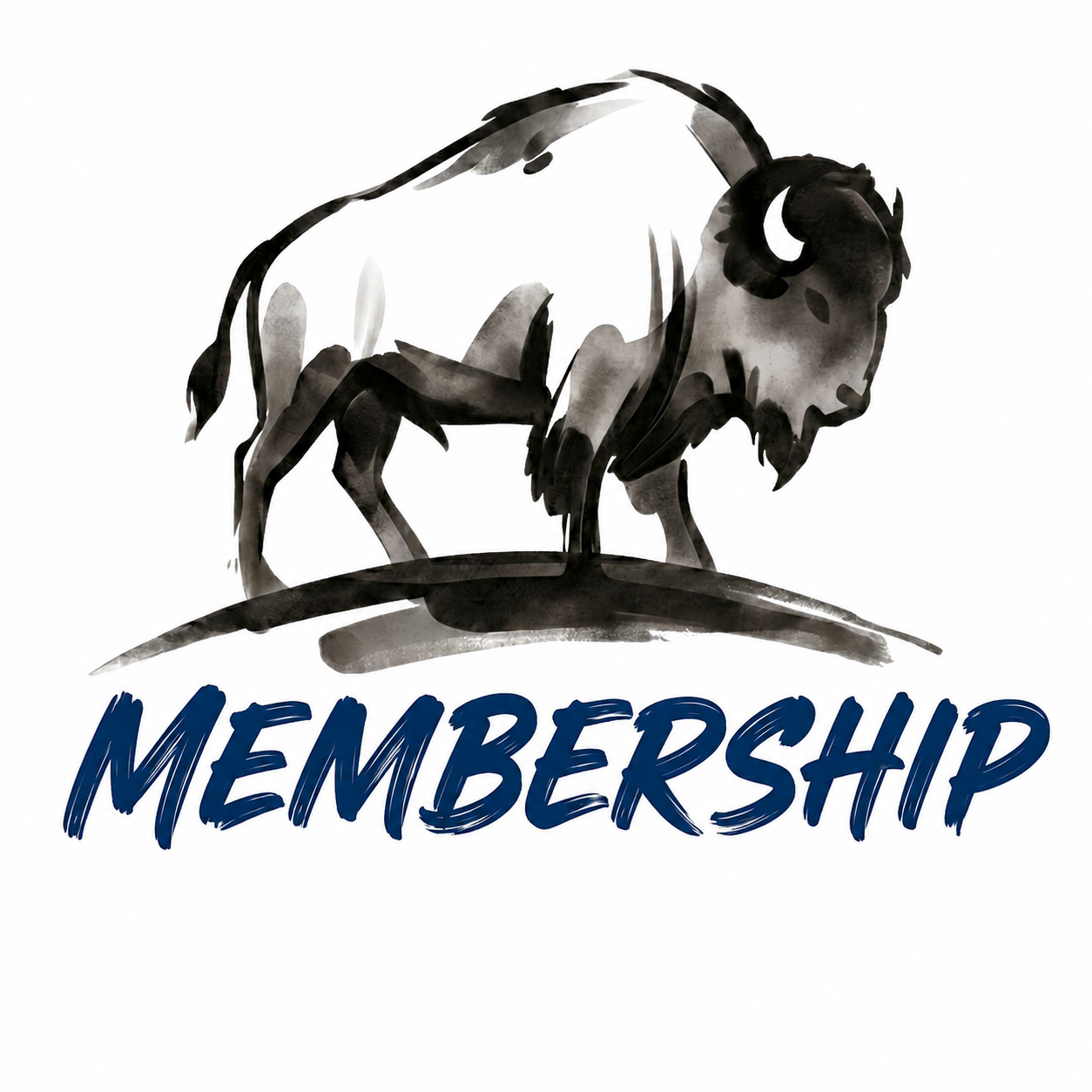 Annual Membership Fee