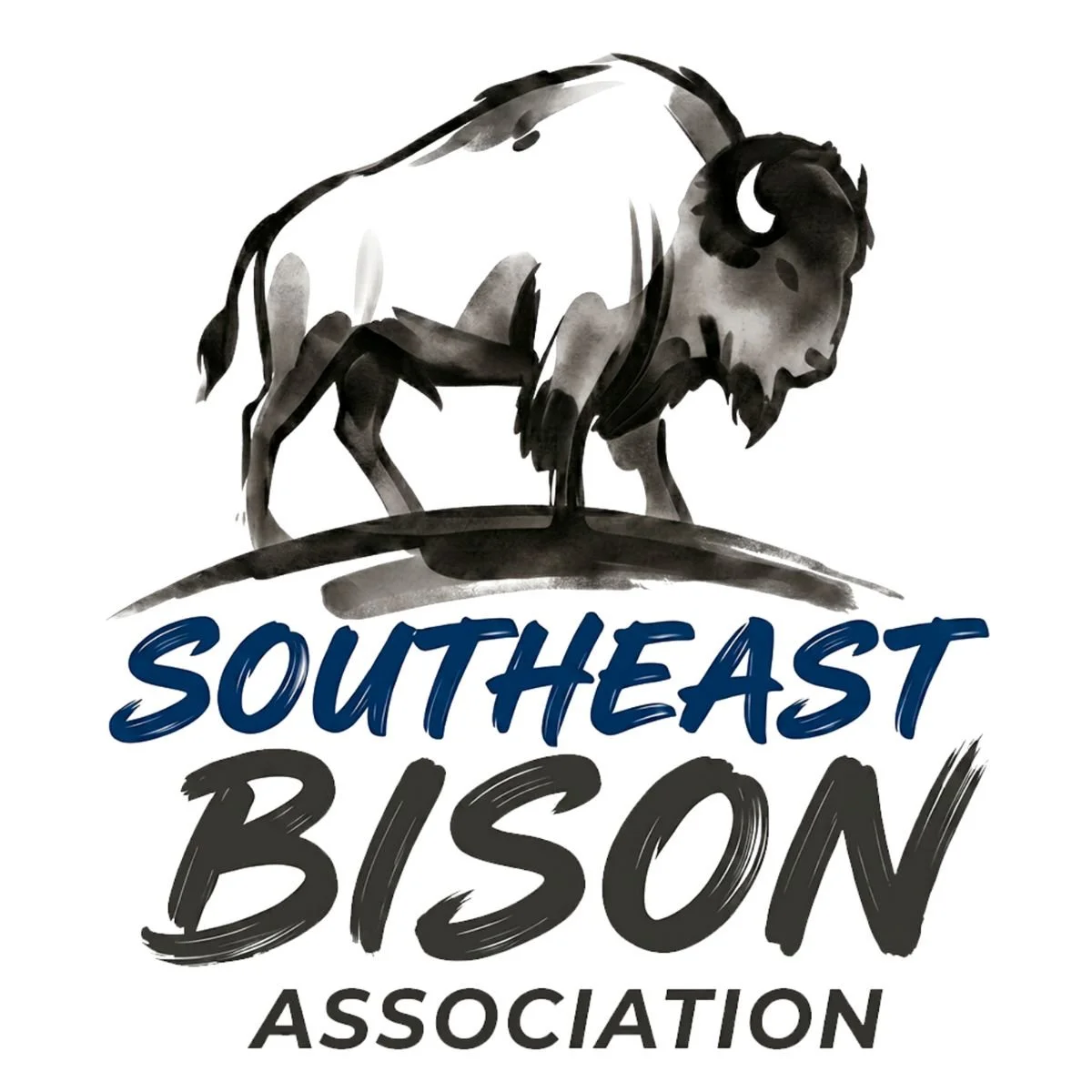A black and white watercolor-style illustration of a bison standing on a hill, with the words 'Southeast Bison Association' below.