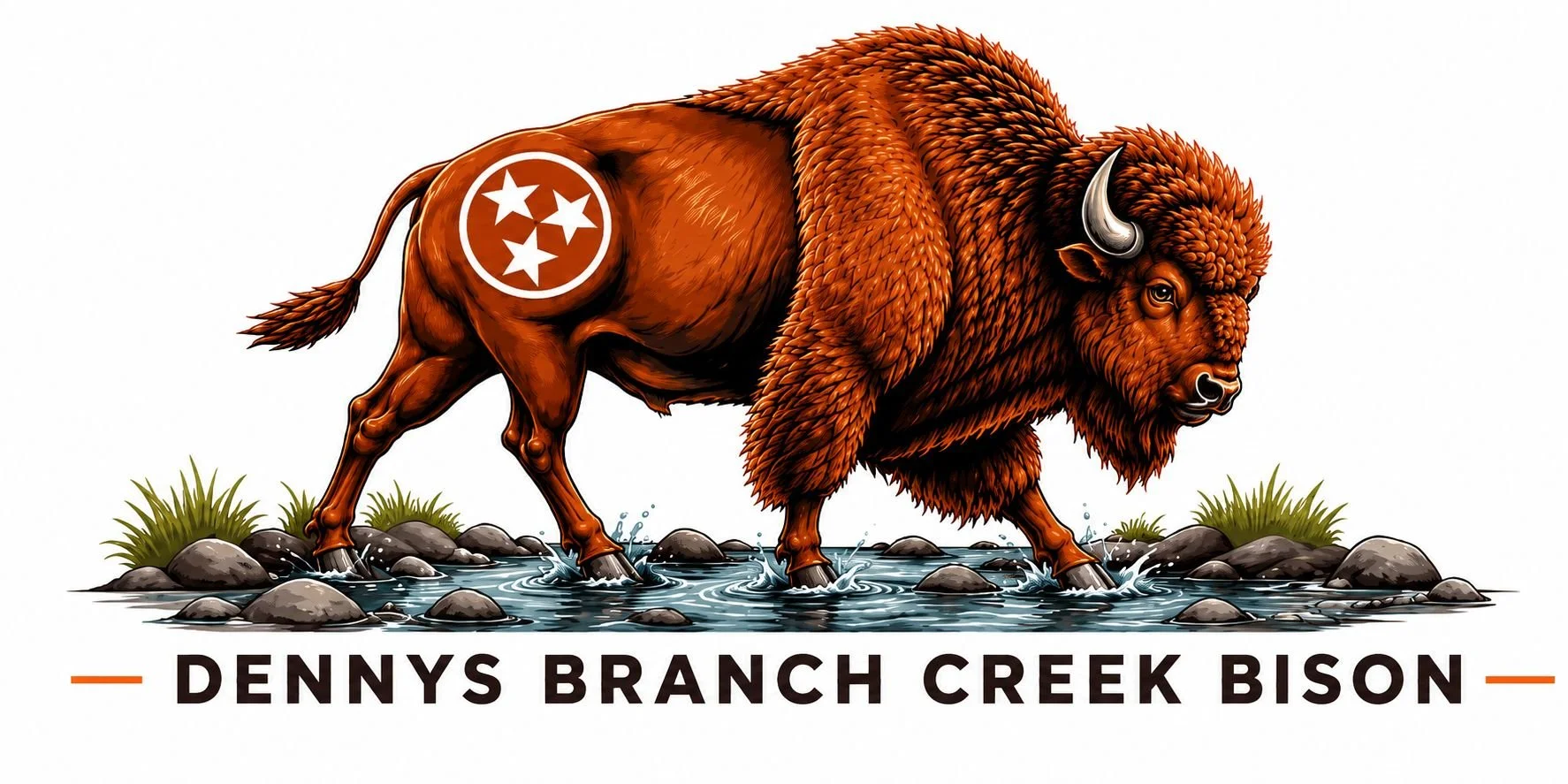 Illustration of a bison crossing a creek with grass and rocks, featuring a Tennessee state emblem on its side, above the text 'Denny's Branch Creek Bison'.