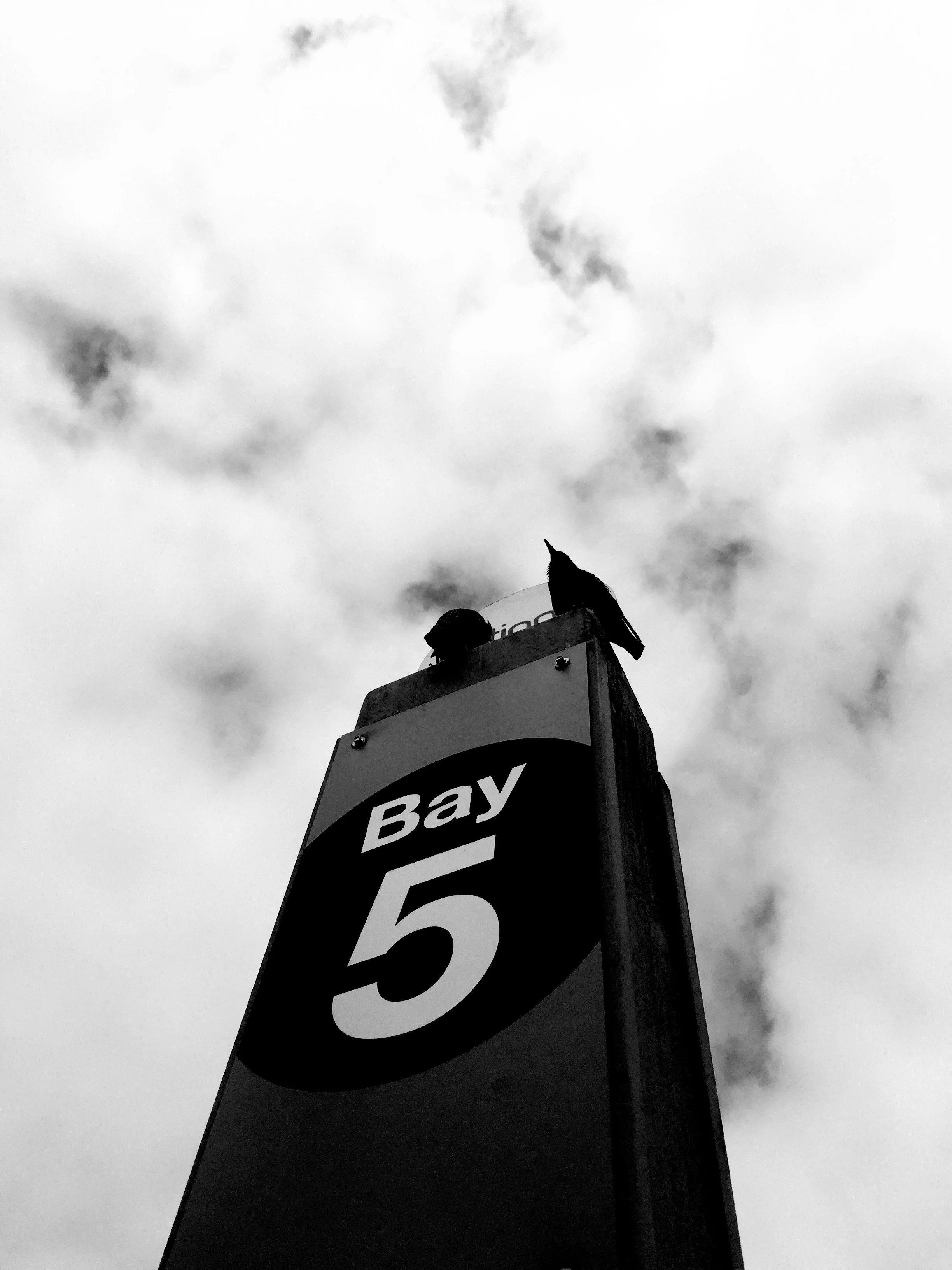 Bay 5.jpg