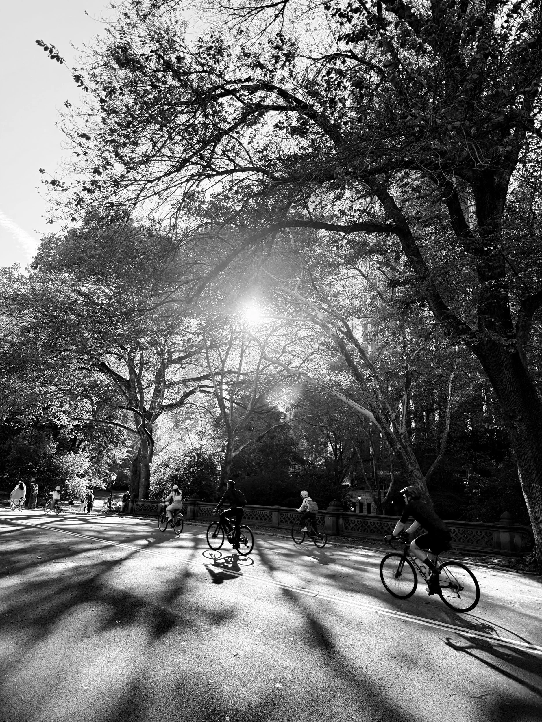 Central Park.jpeg