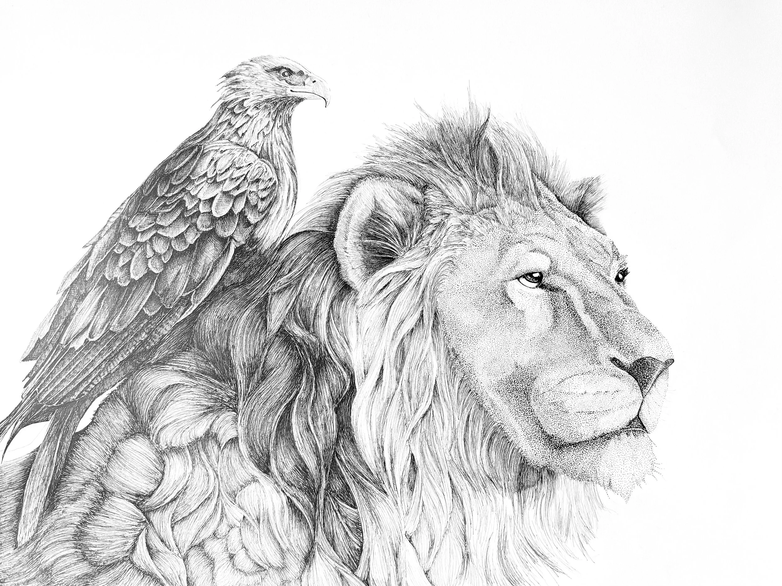 lion eagle 2.JPG