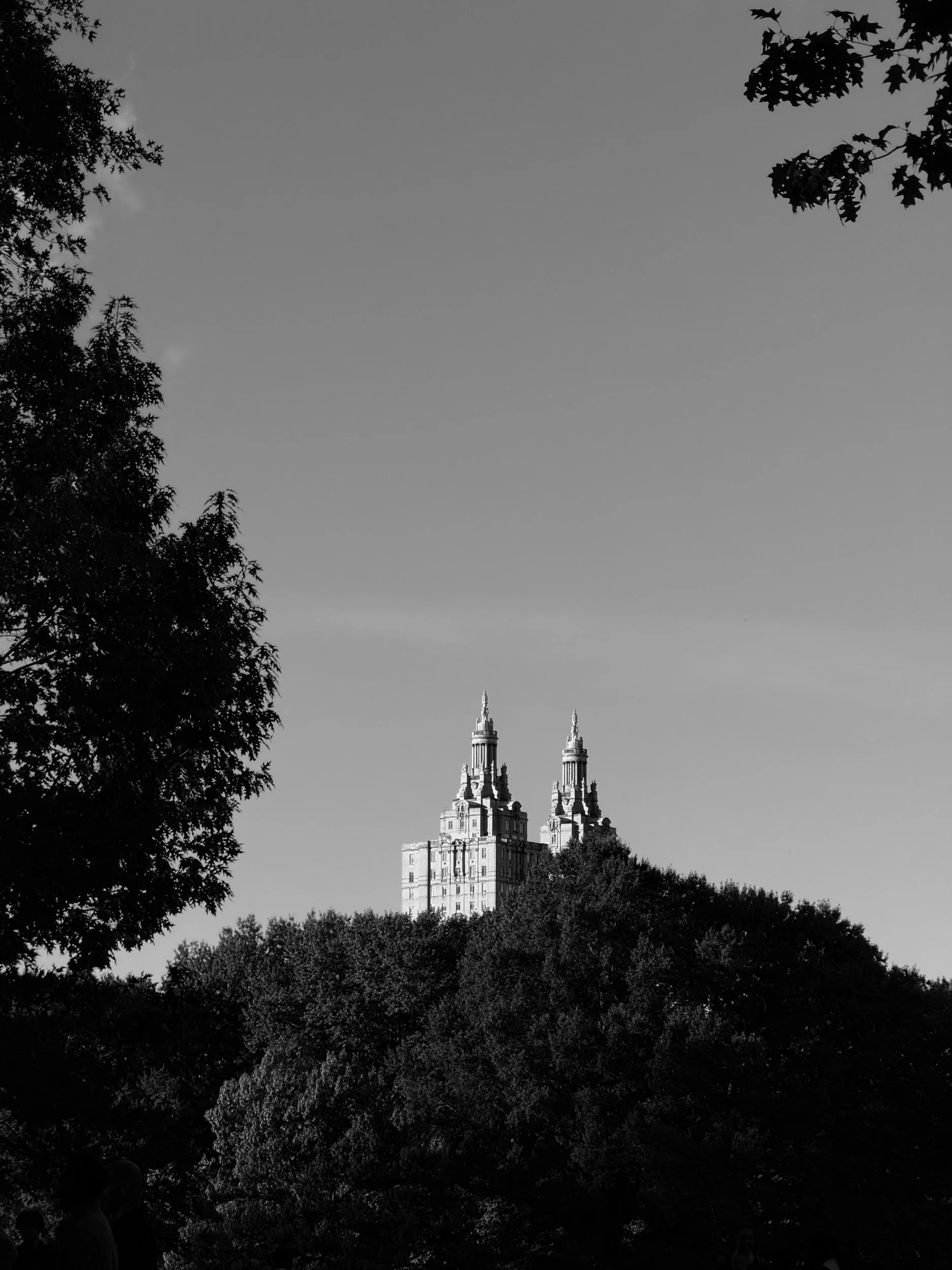 Central Park View.jpeg