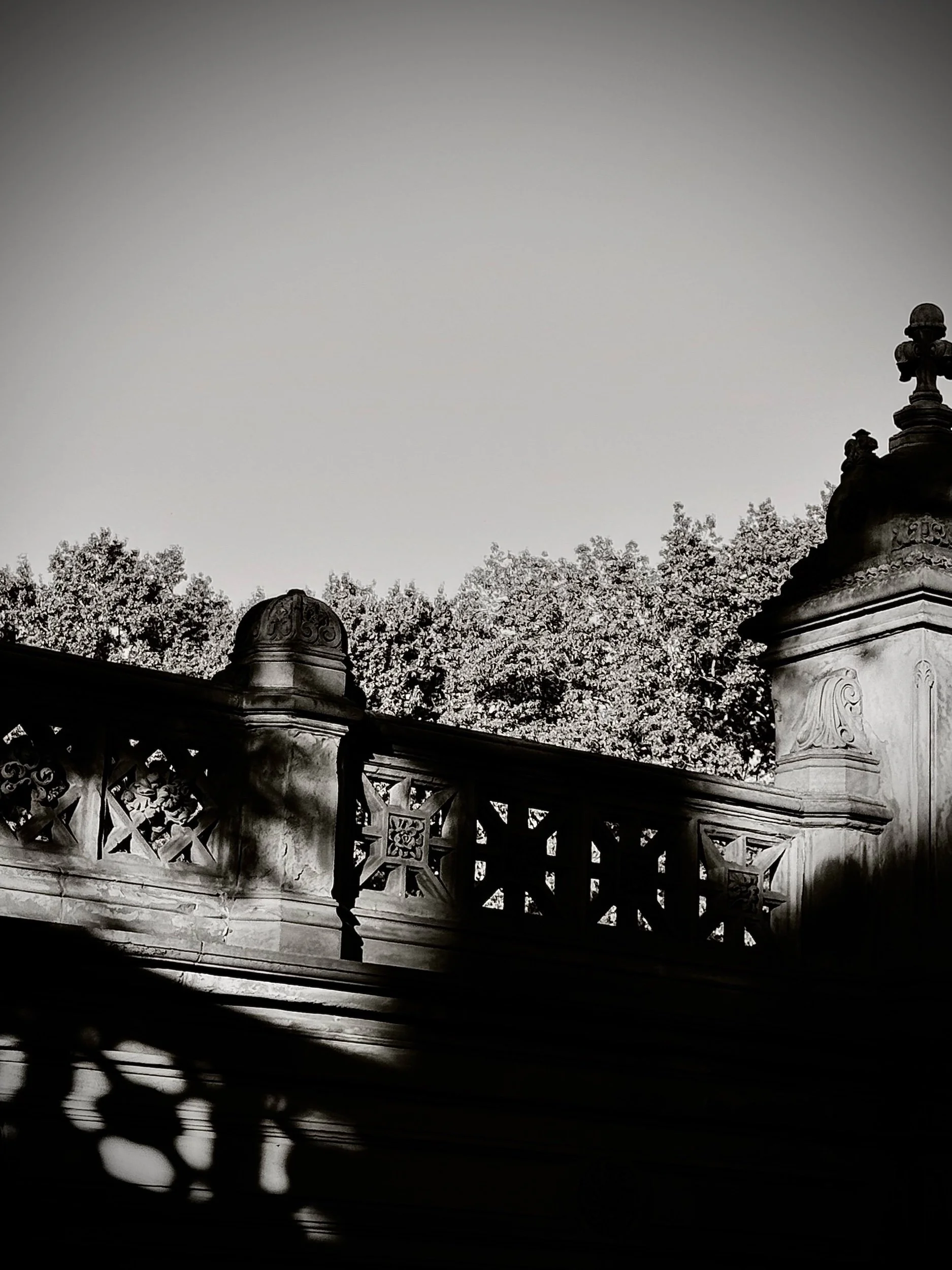 Central Park 7.jpeg