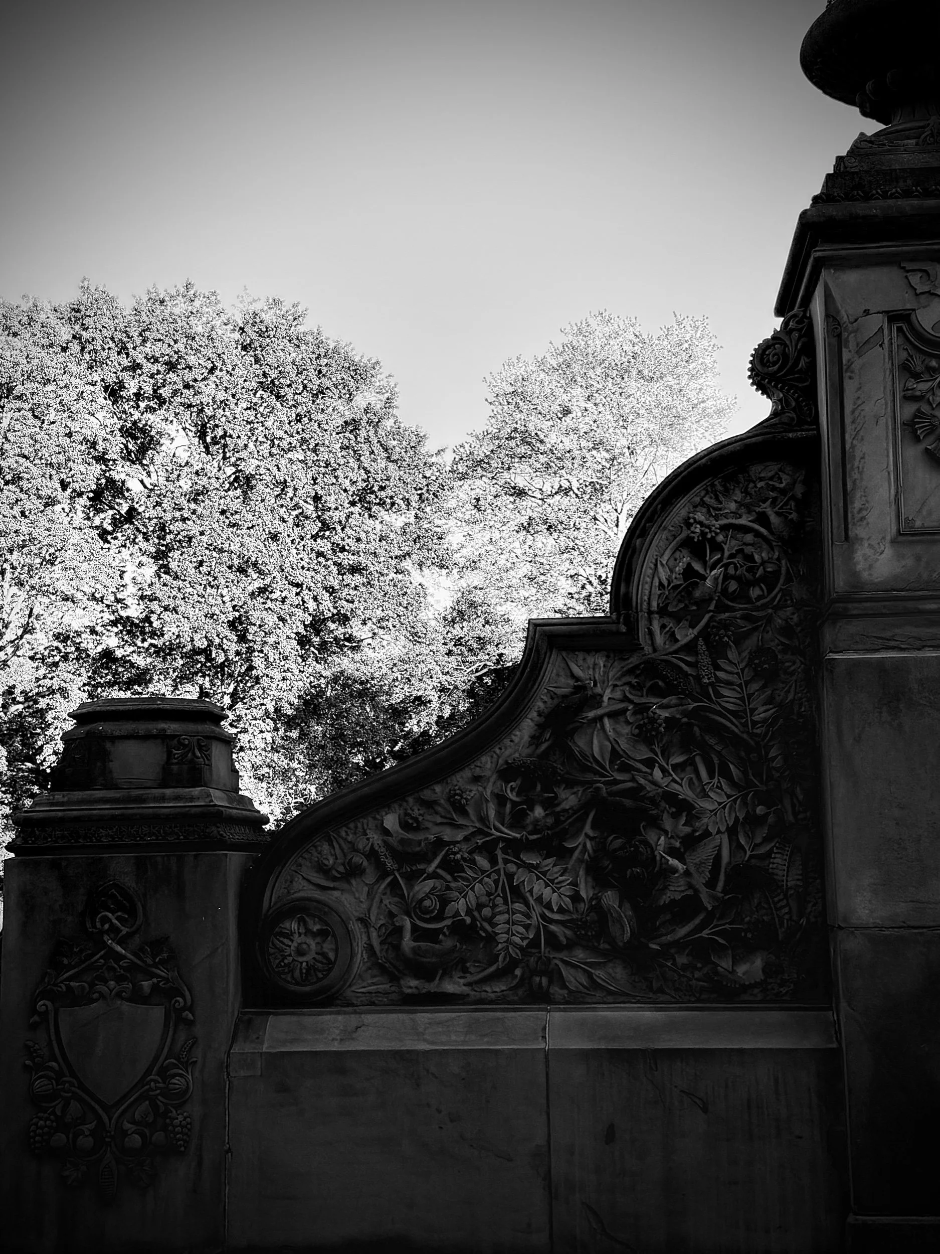 Central Park 3.jpeg