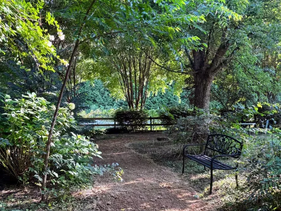 A peaceful garden area with a dirt path, surrounded by lush green trees and bushes. There is a black metal bench on the right side, and a large tree with a thick trunk on the right. The scene is shaded with sunlight filtering through the leaves.