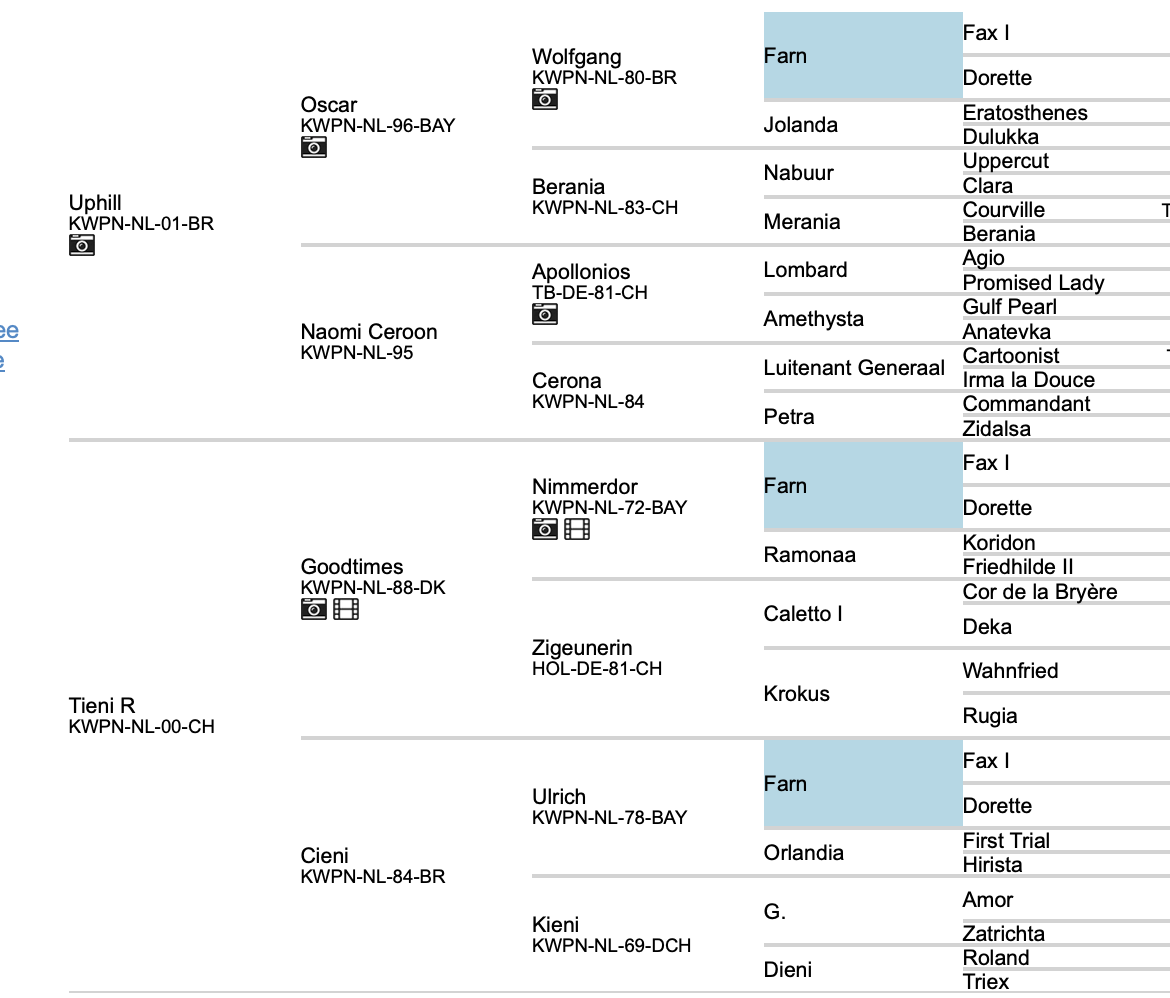 Screenshot 2026-09-28 at 3.24.12 PM.png