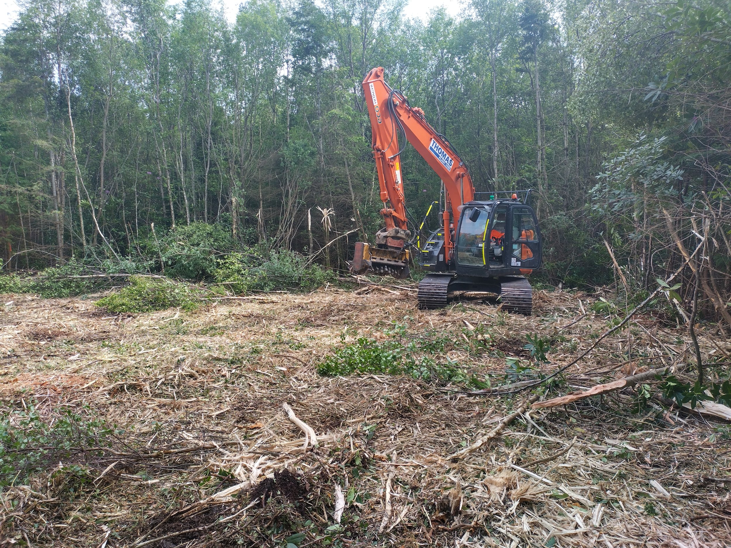 Excavator-mounted forestry mulcher for land clearance, woodland restoration and vegetation management.