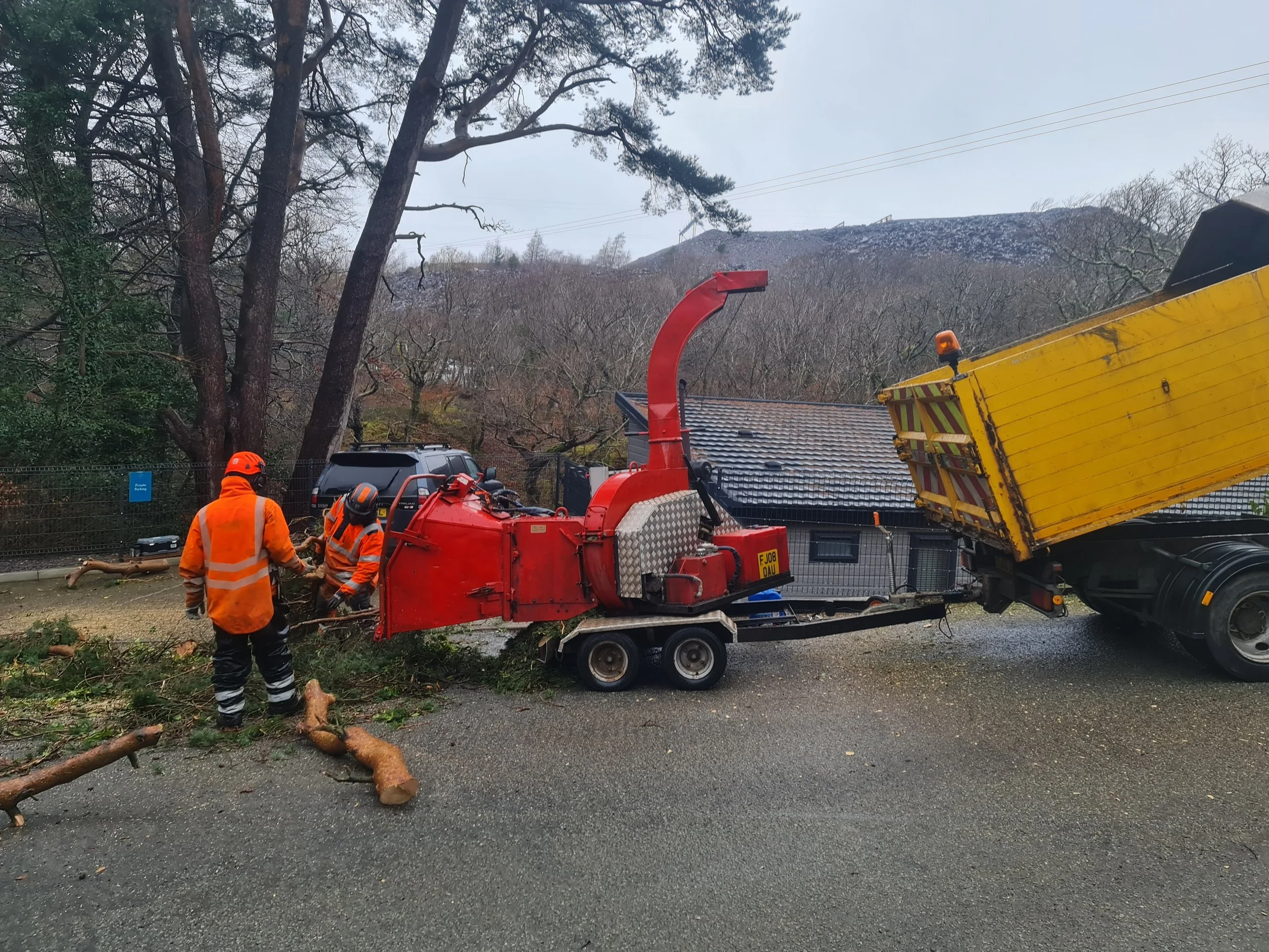 Farmi wood chipper processing branches and timber from professional tree surgery operations.