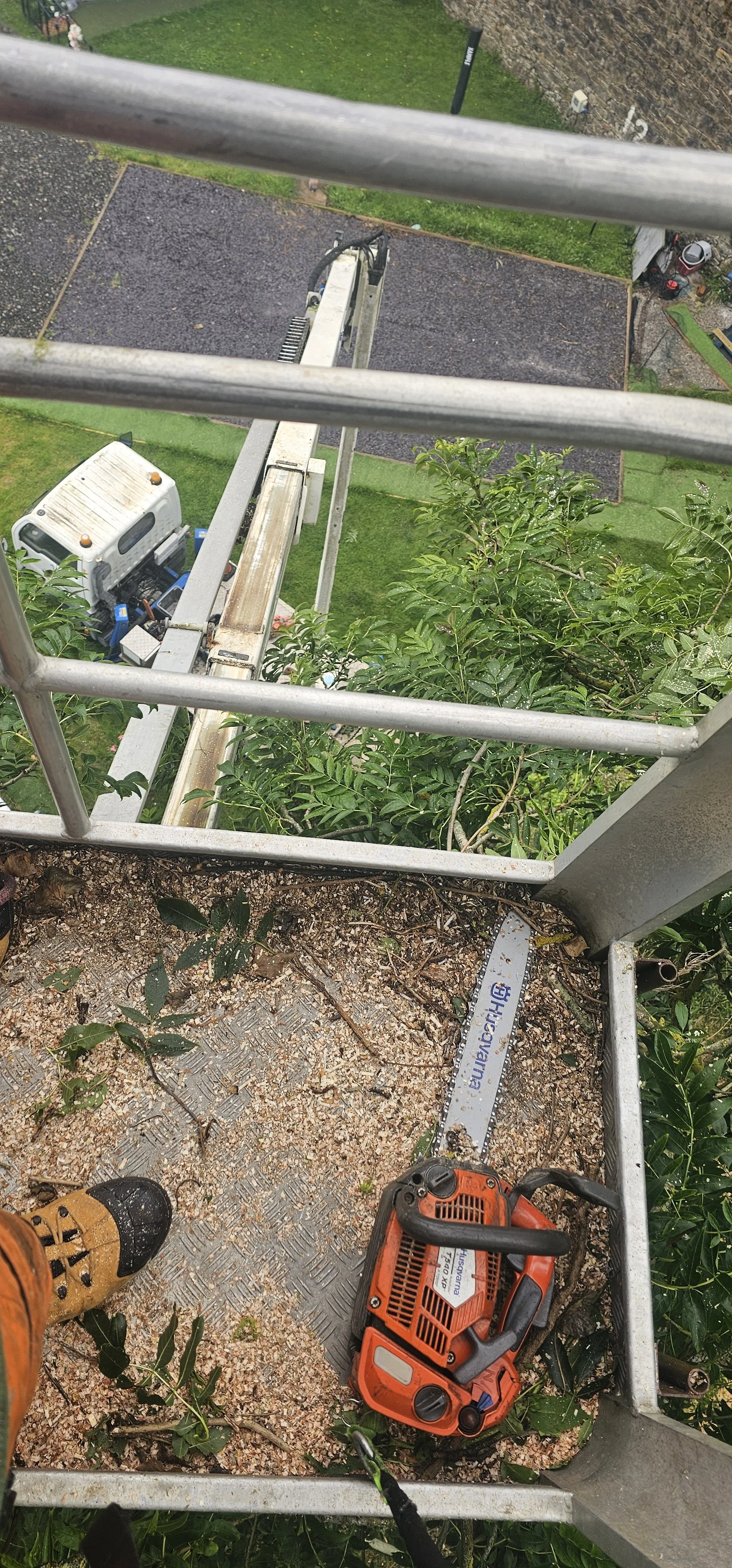 CELA Z210 MEWP (cherry picker) providing safe access for specialist tree surgery and dangerous tree removal in Anglesey.