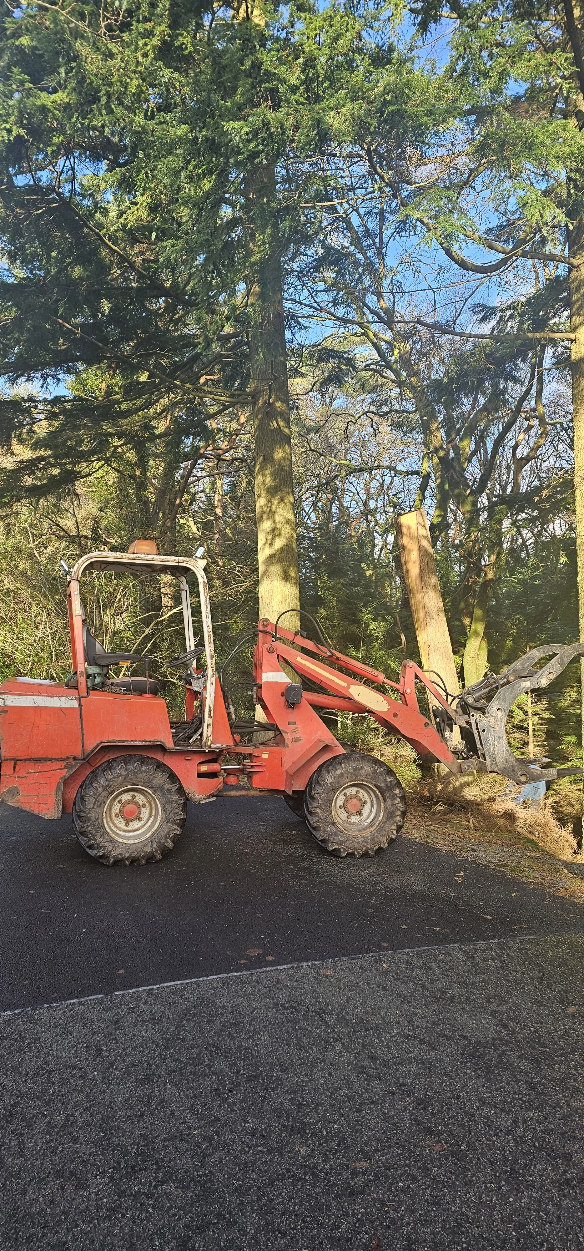 Schaffer loader transporting timber, woodchip and equipment safely around forestry and tree work sites.