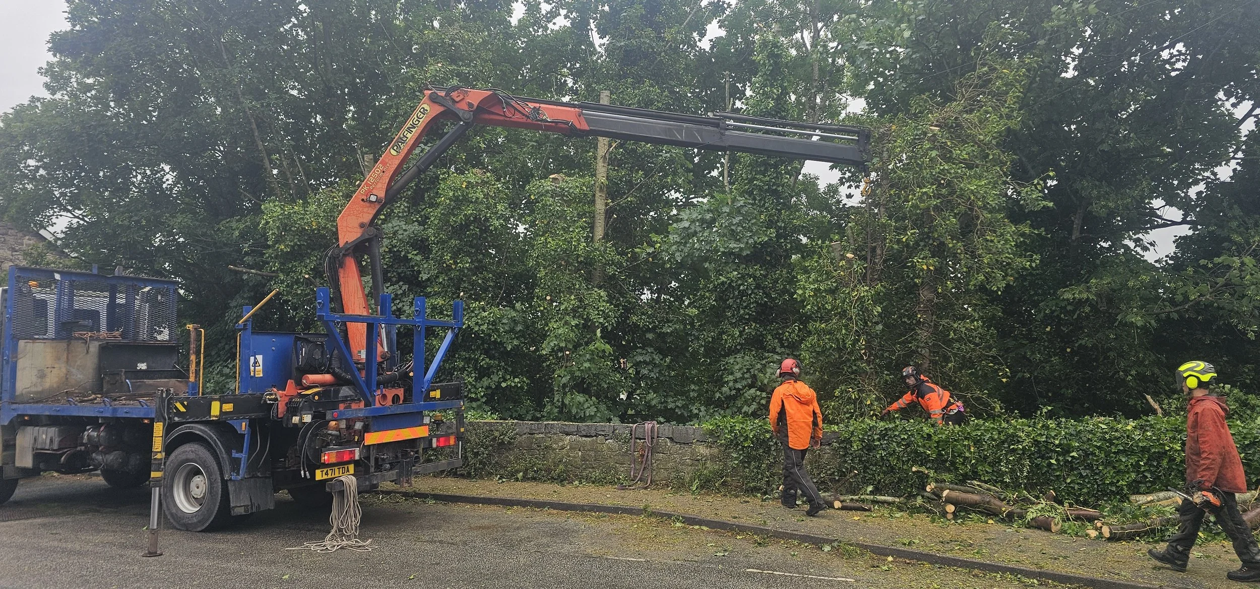 Iveco 4x4 radio remote crane truck with grapple for mechanical tree removal and heavy timber handling.
