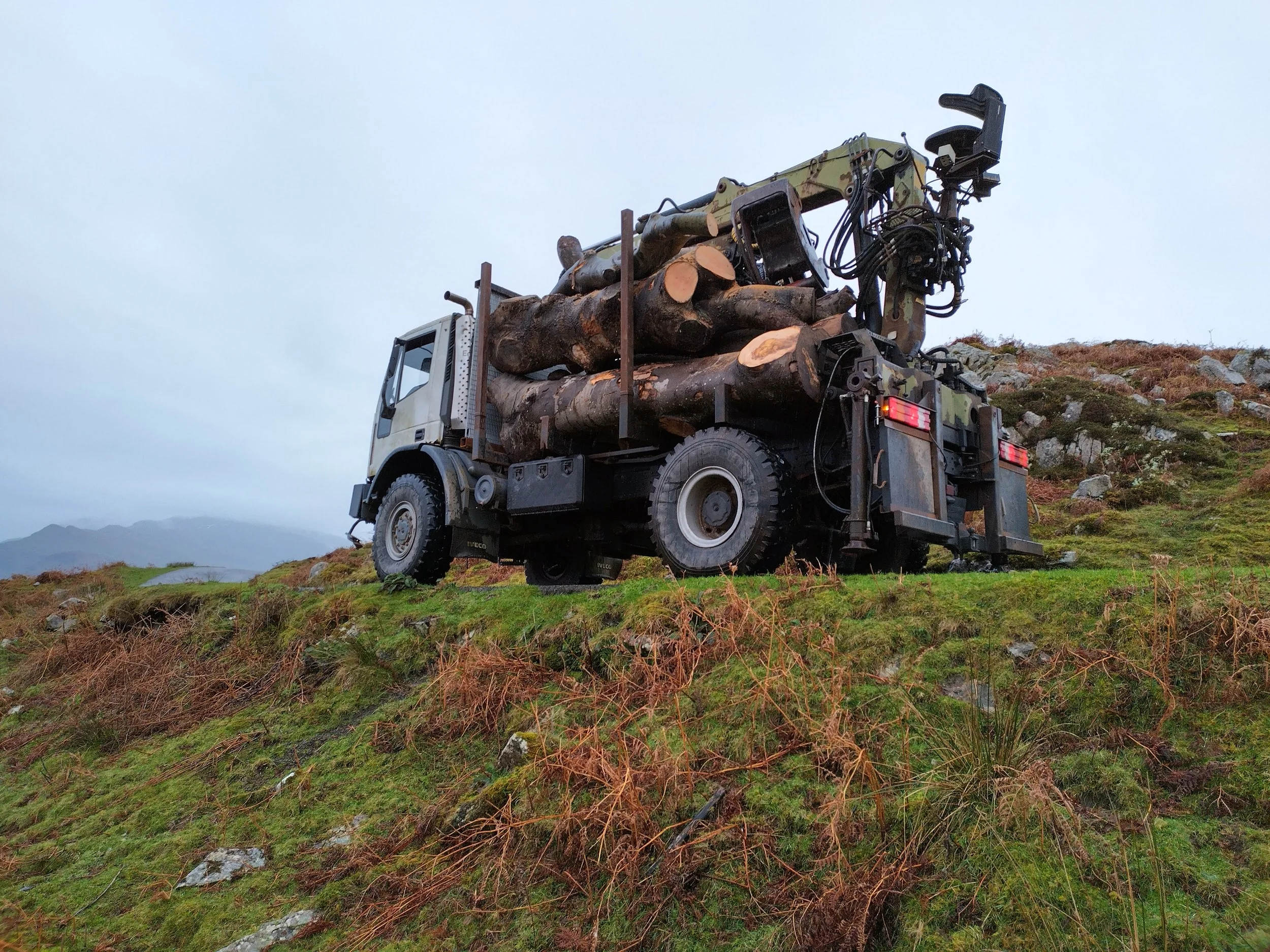 Iveco 4x4 radio remote crane truck with grapple for mechanical tree removal and heavy timber handling.