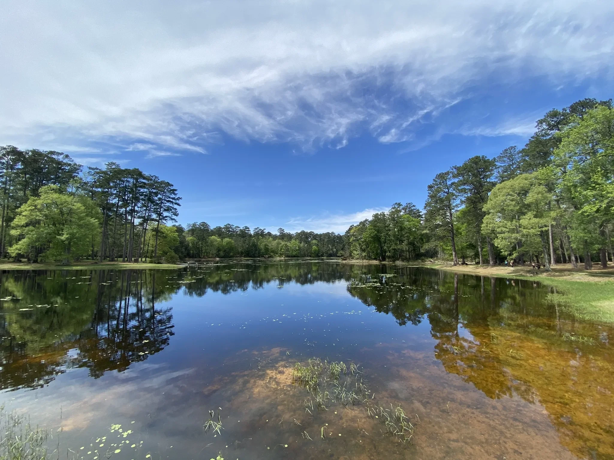 A calm lake surrounded by green trees under a partly cloudy blue sky.