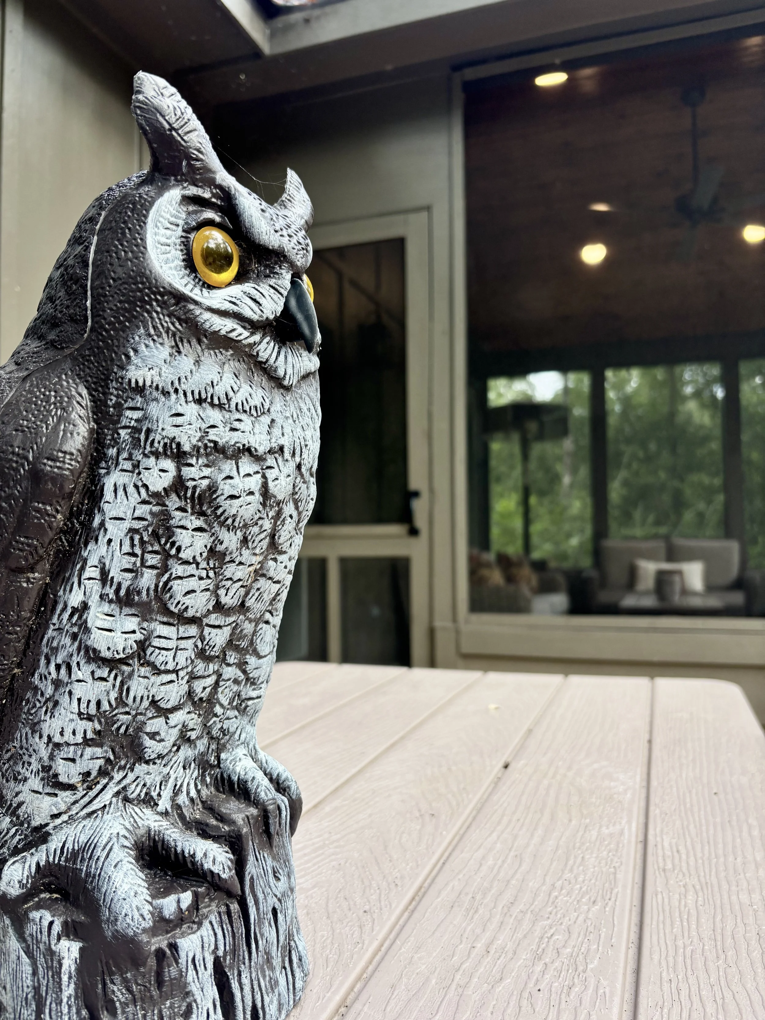 A close-up of a decorative owl sculpture with large yellow eyes, sitting on a wooden table outdoors with a house window and porch visible in the background.
