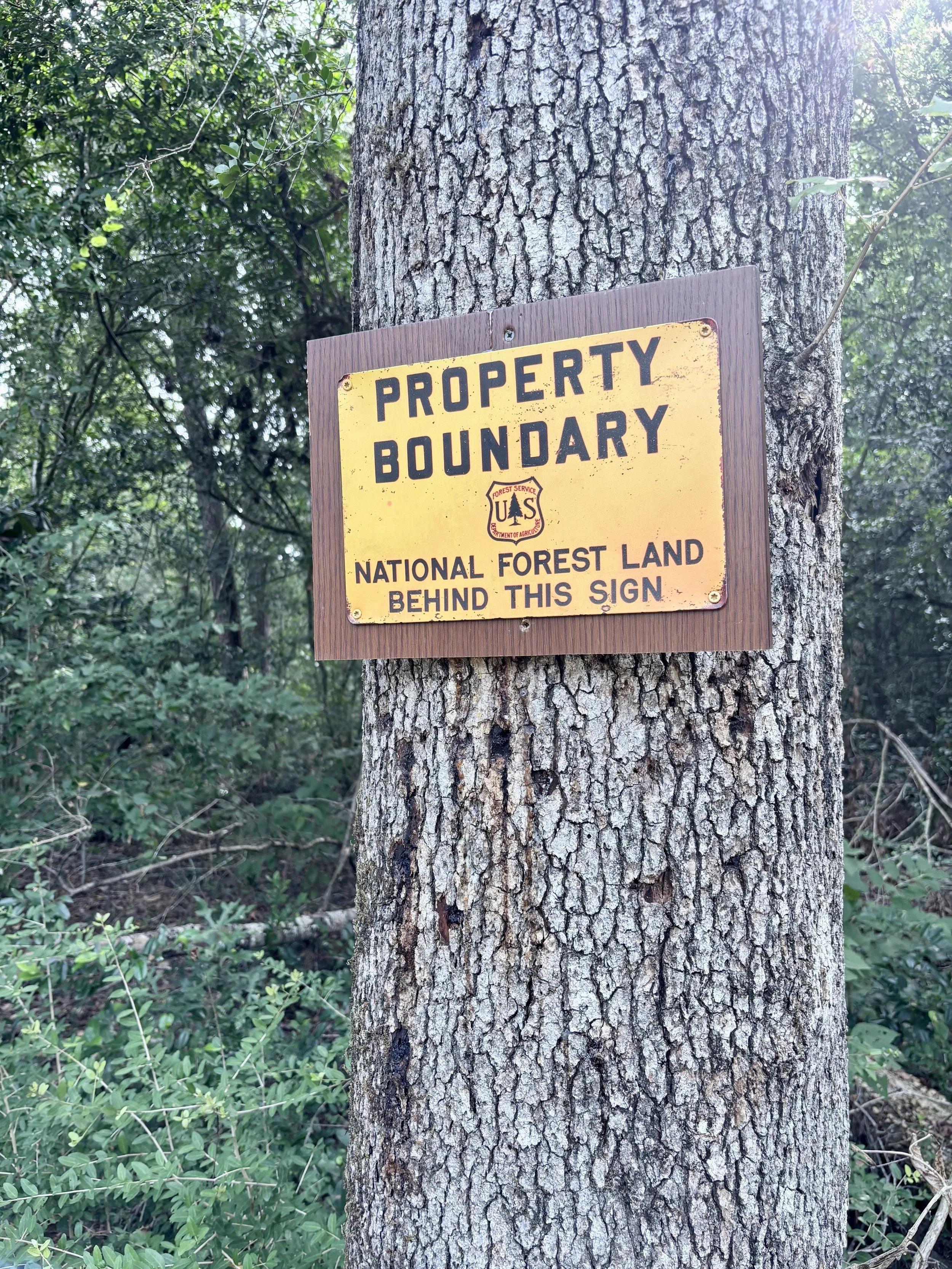 Tree trunk with a yellow property boundary sign attached, indicating the boundary of a national forest land behind the sign, surrounded by green foliage.
