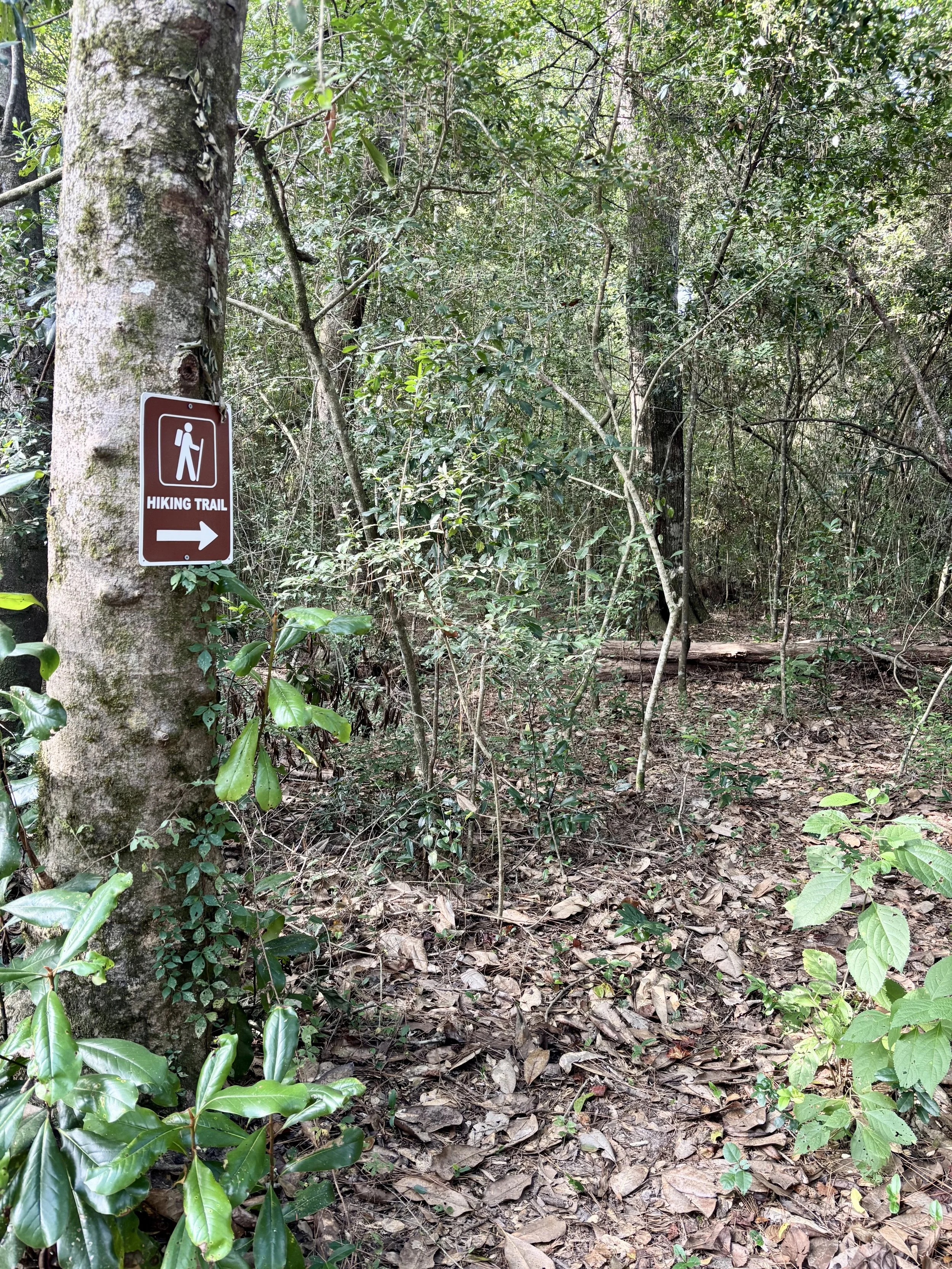 A wooded hiking trail with a sign on a tree indicating the direction to the hiking trail, surrounded by green foliage, trees, and leaf-covered ground.