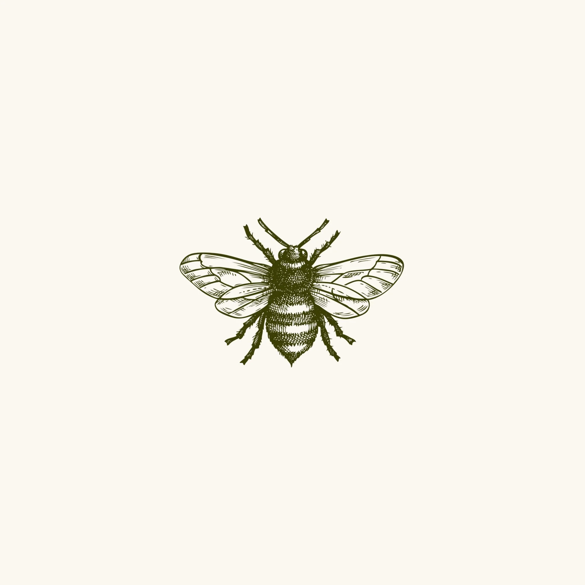 🐝🐝🐝