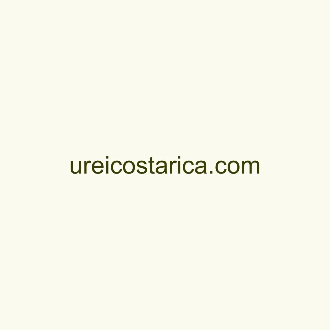 a little piece of summer, wherever you go <3 &rarr; ureicostarica.com 💻🐝