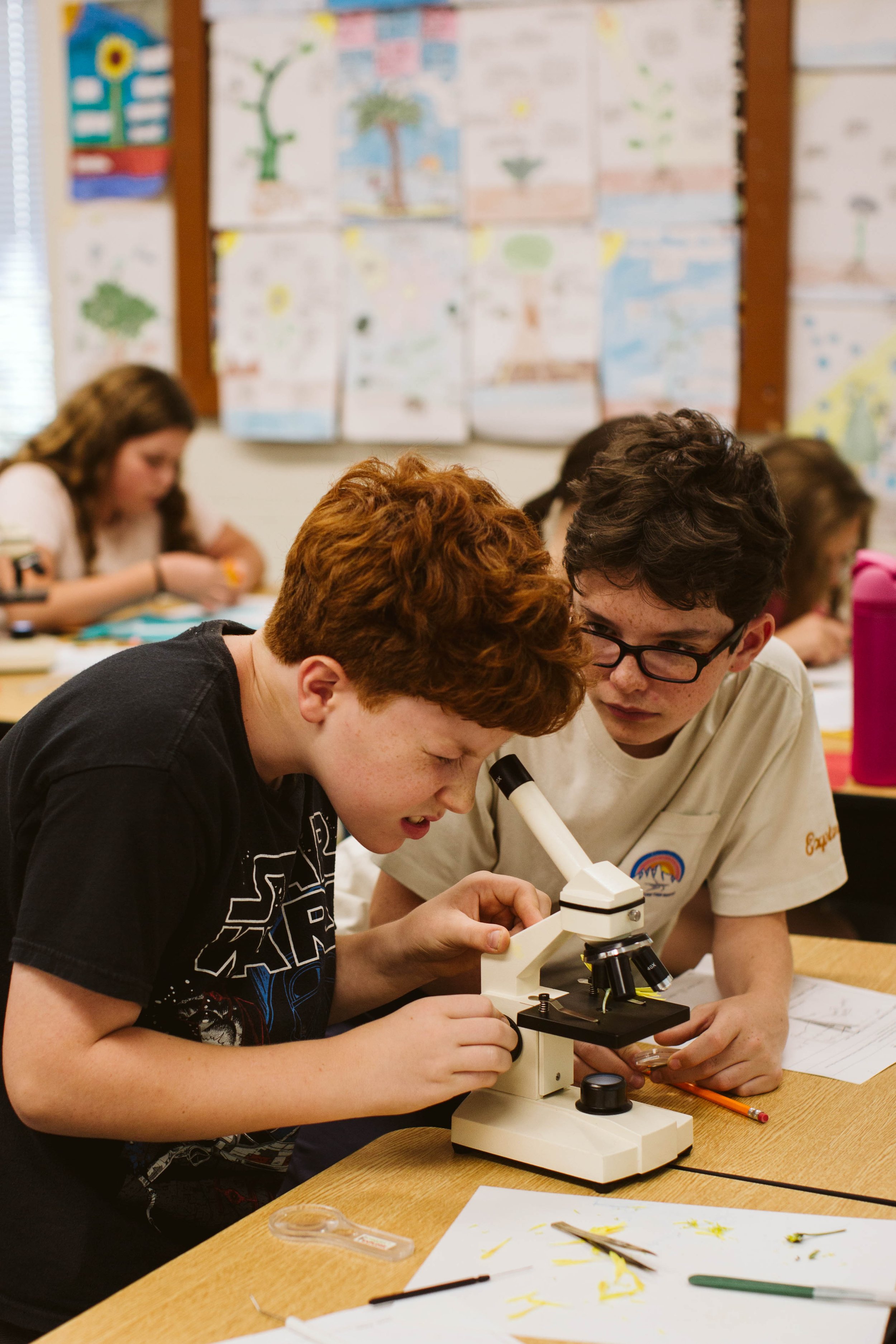 Two boys are examining a microscope together in a classroom, with other students working in the background and colorful posters on the wall.