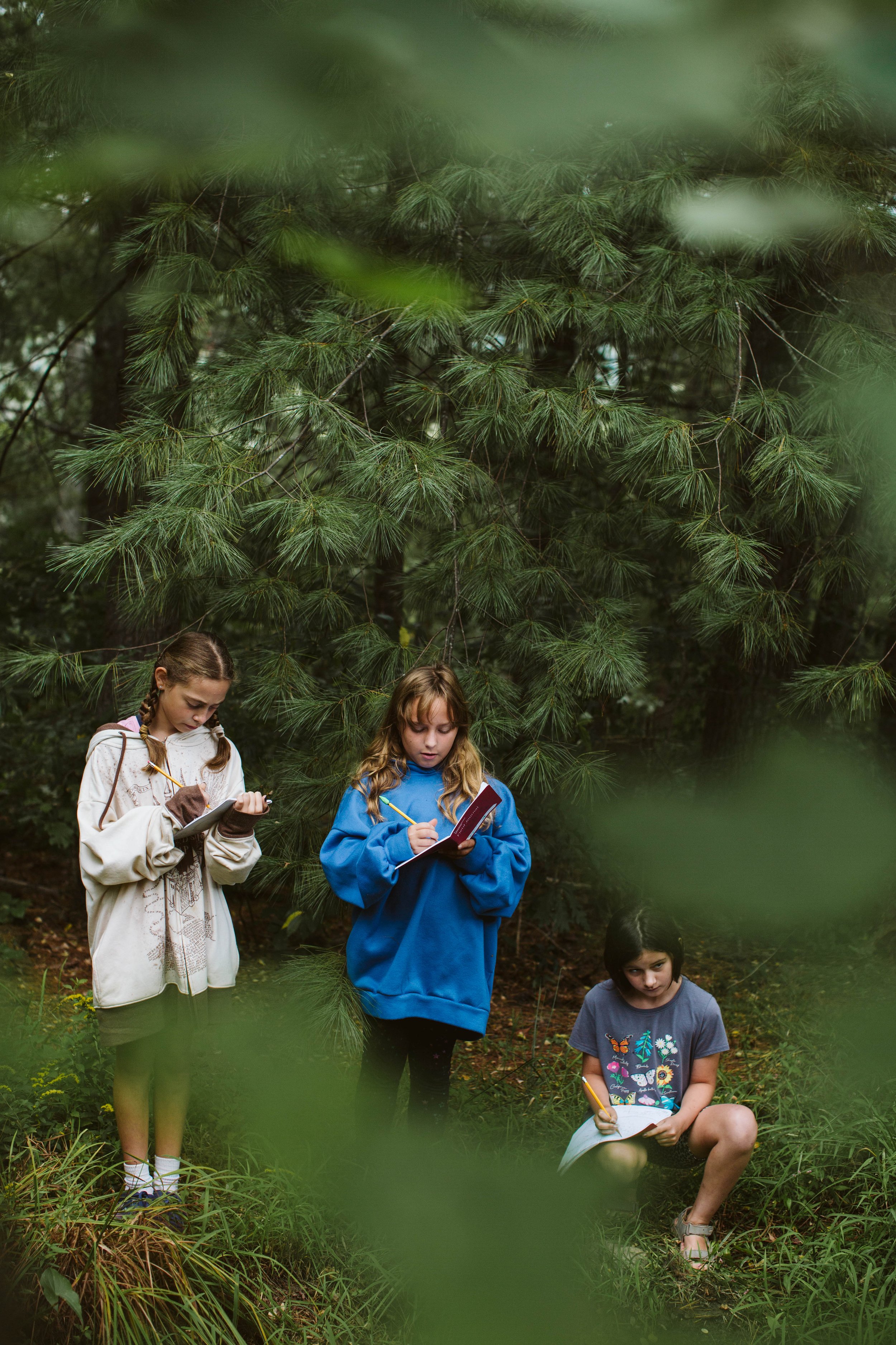 Four children exploring a forest, wearing casual clothes and writing in notebooks.
