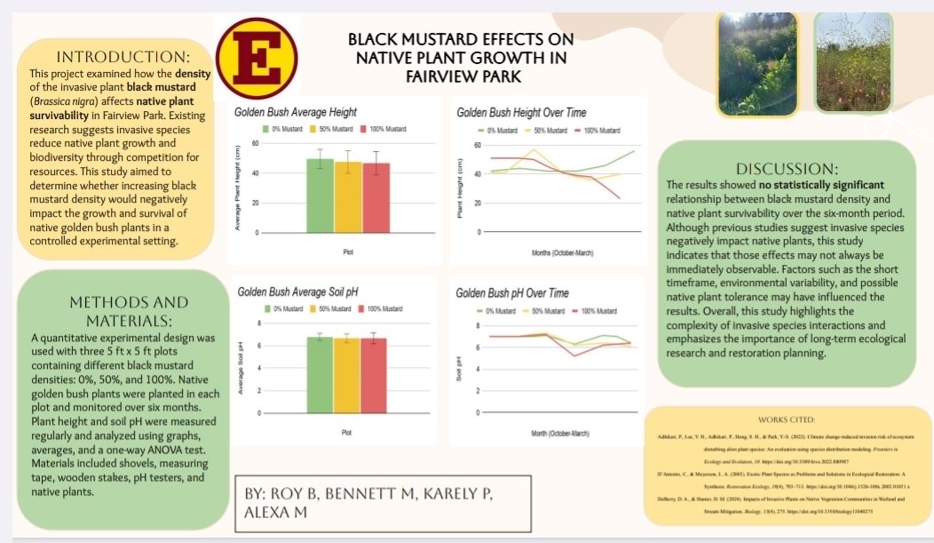 third place team’s poster on “Black Mustard Effects on Native Plant Growth in Fairview Park”