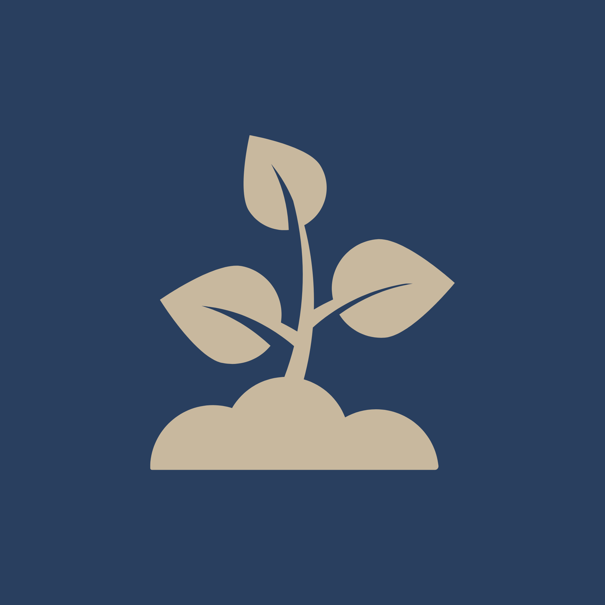Volunteer Planting
