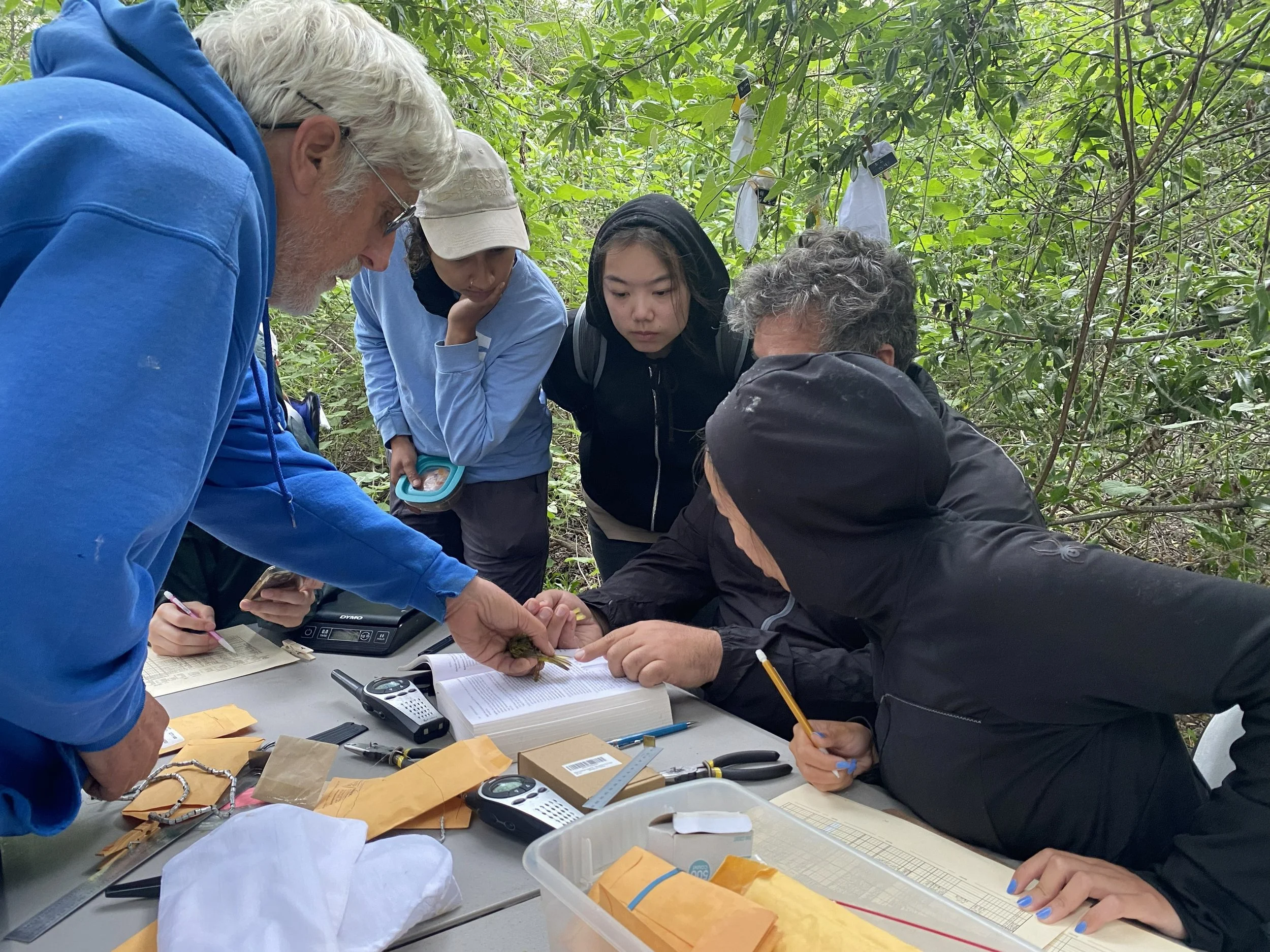 image of biologists looking at field guide on a table