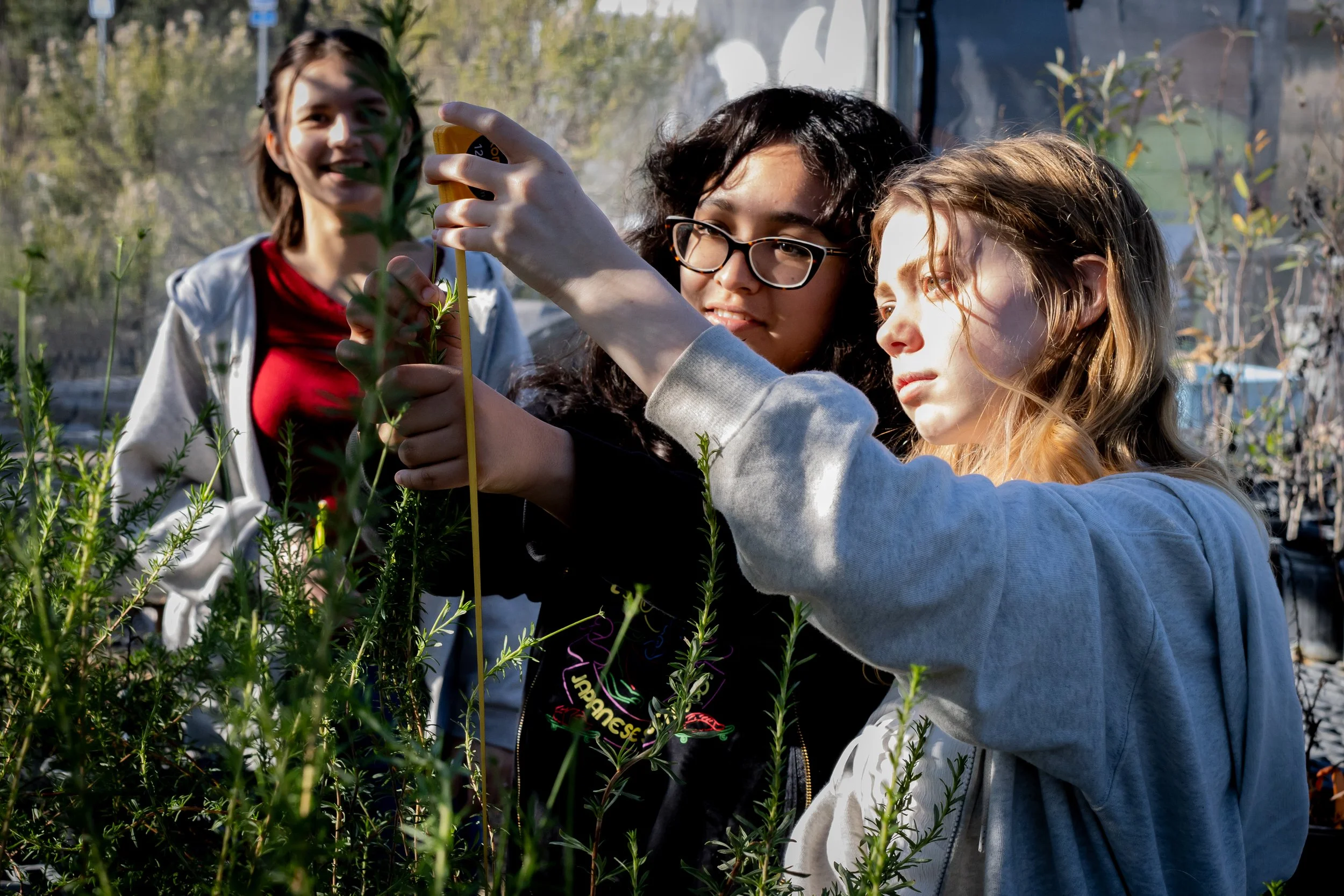image of students taking measurements