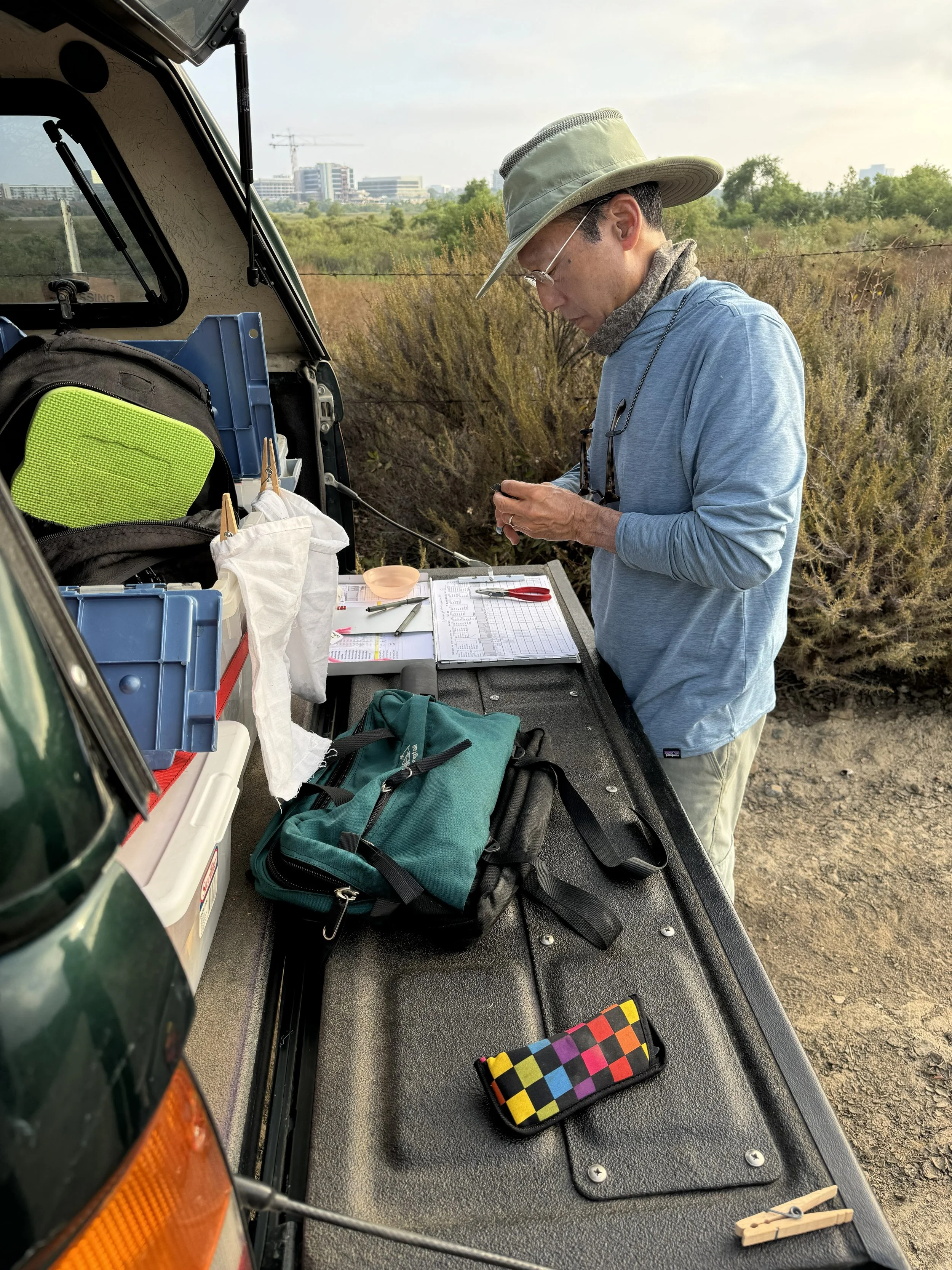 image of a permitted biologist banding a california gnatcatcher