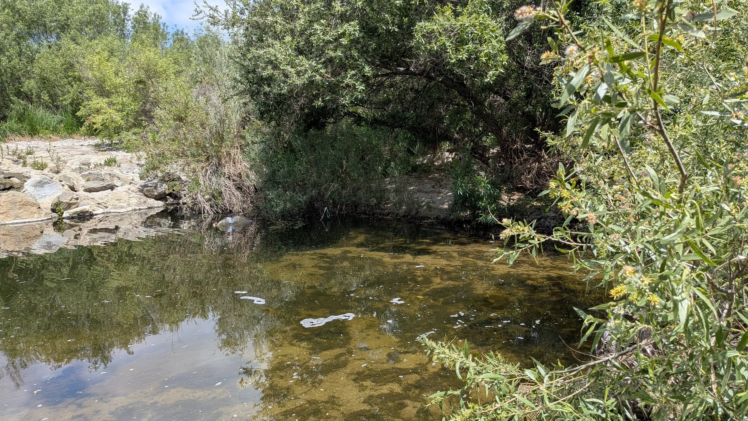 image of aliso creek