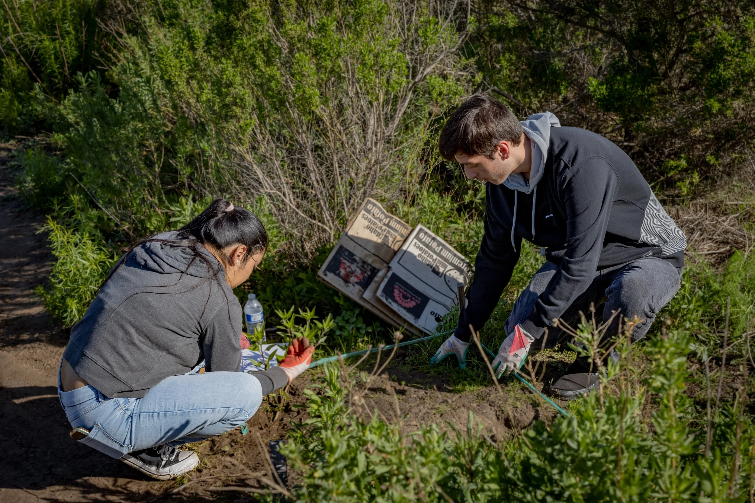 image depicts two students planting