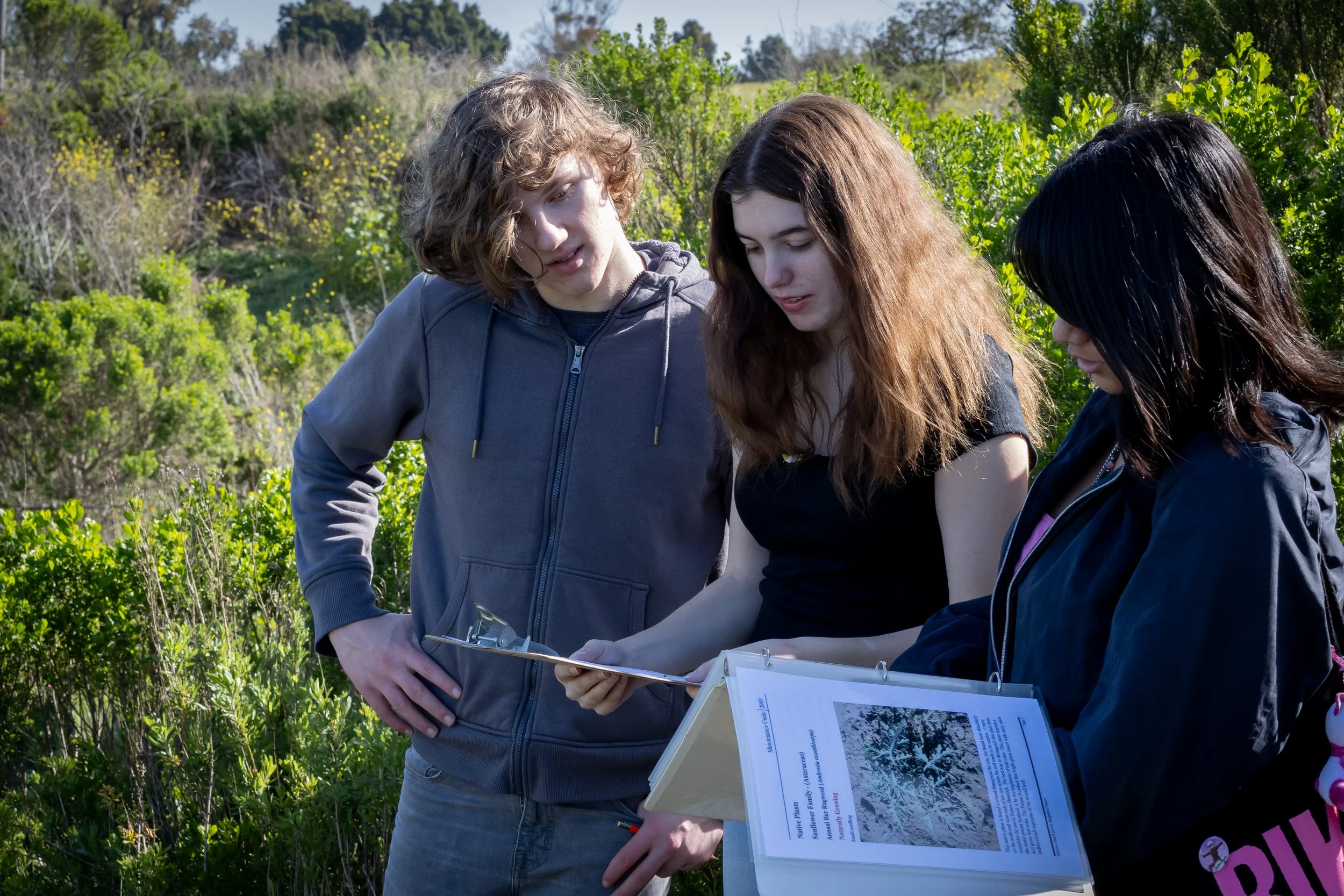 image shows three students looking at field guides 