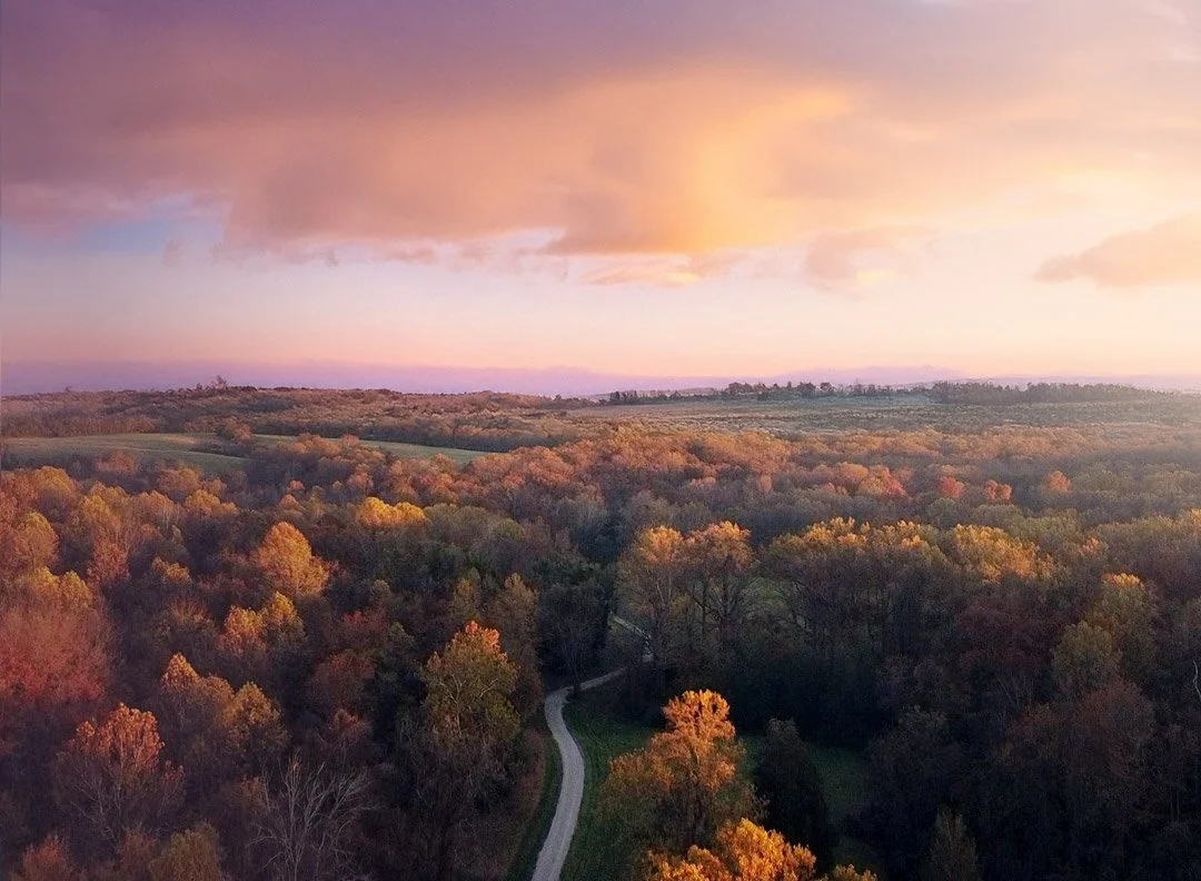 Aerial view of a forested landscape during sunset with colorful trees and a winding path amid the trees.