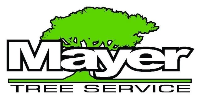 Logo for Mayer Tree Service featuring a green tree above the name 'Mayer' with a green underline and the words 'Tree Service' underneath.