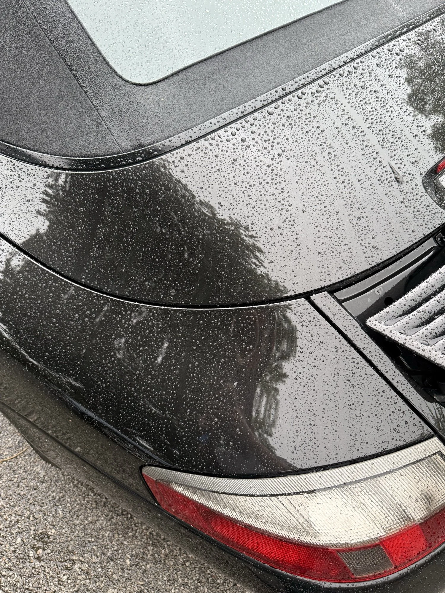 Water beading on a black Porsche convertible rear quarter